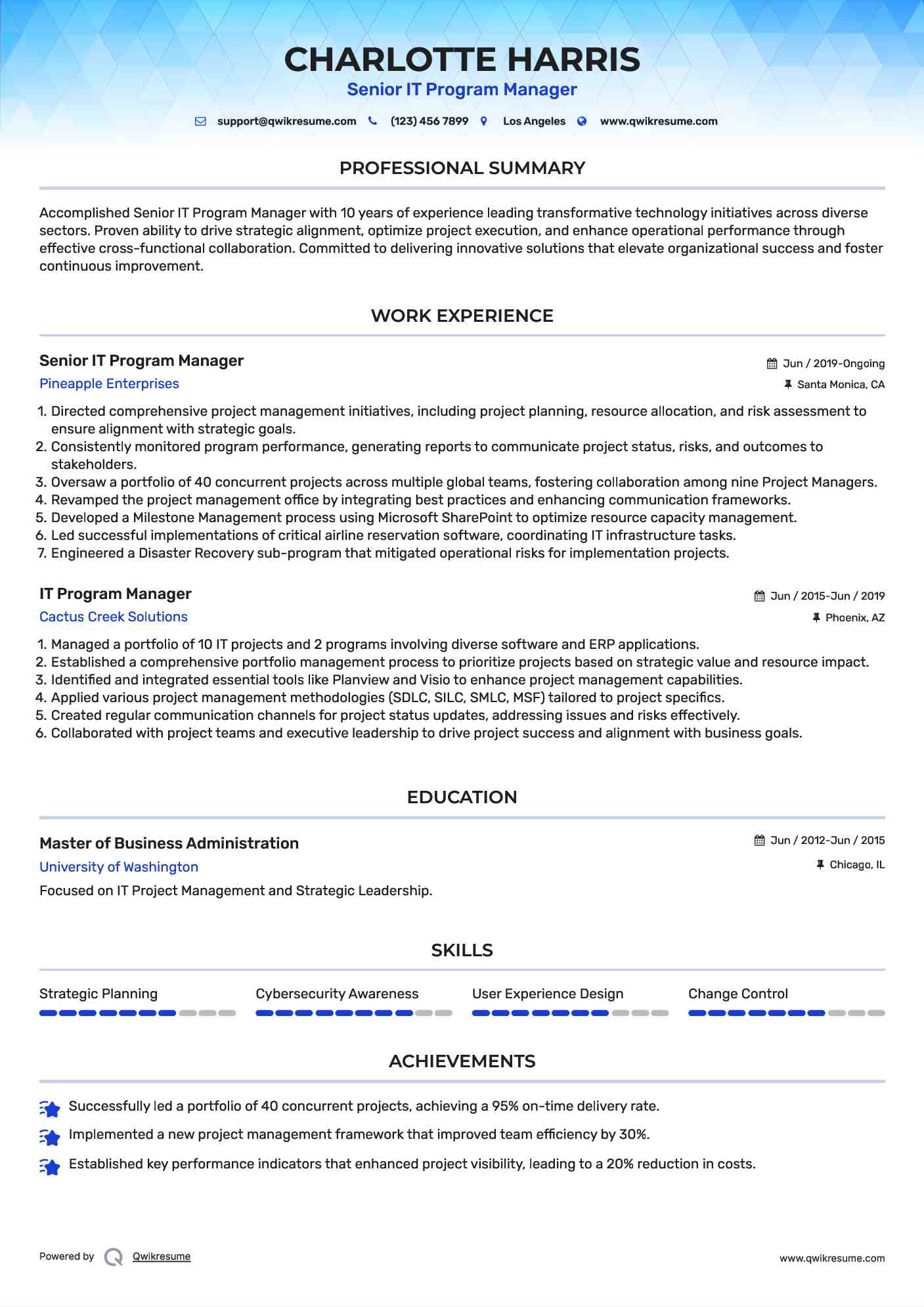 Senior IT Program Manager Resume Model