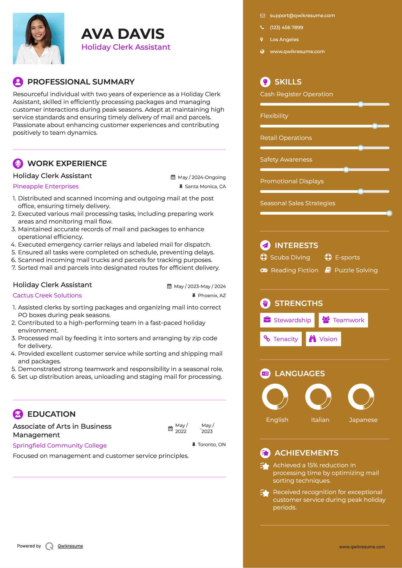 Holiday Clerk Assistant Resume Format