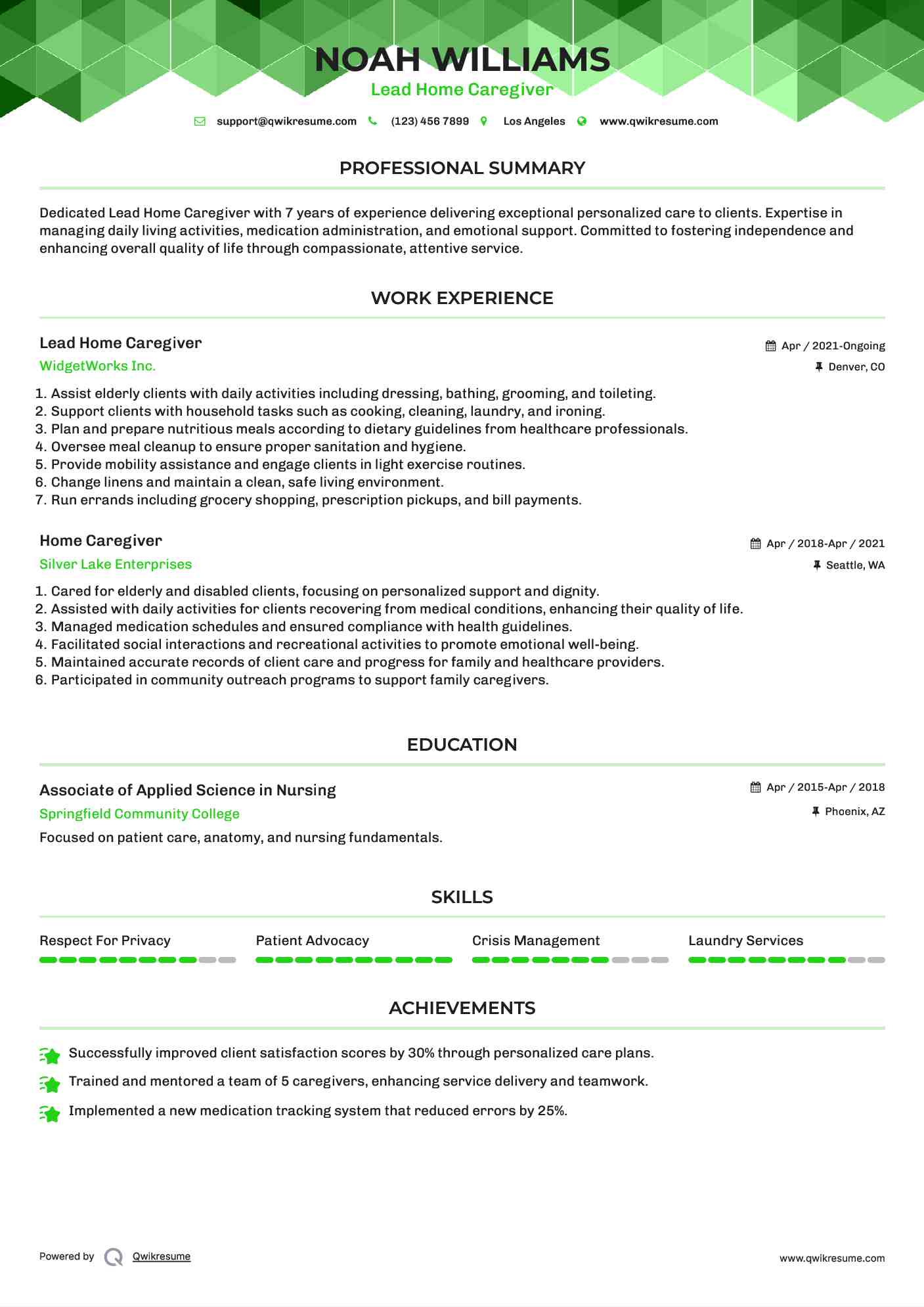 Lead Home Caregiver  Resume Example