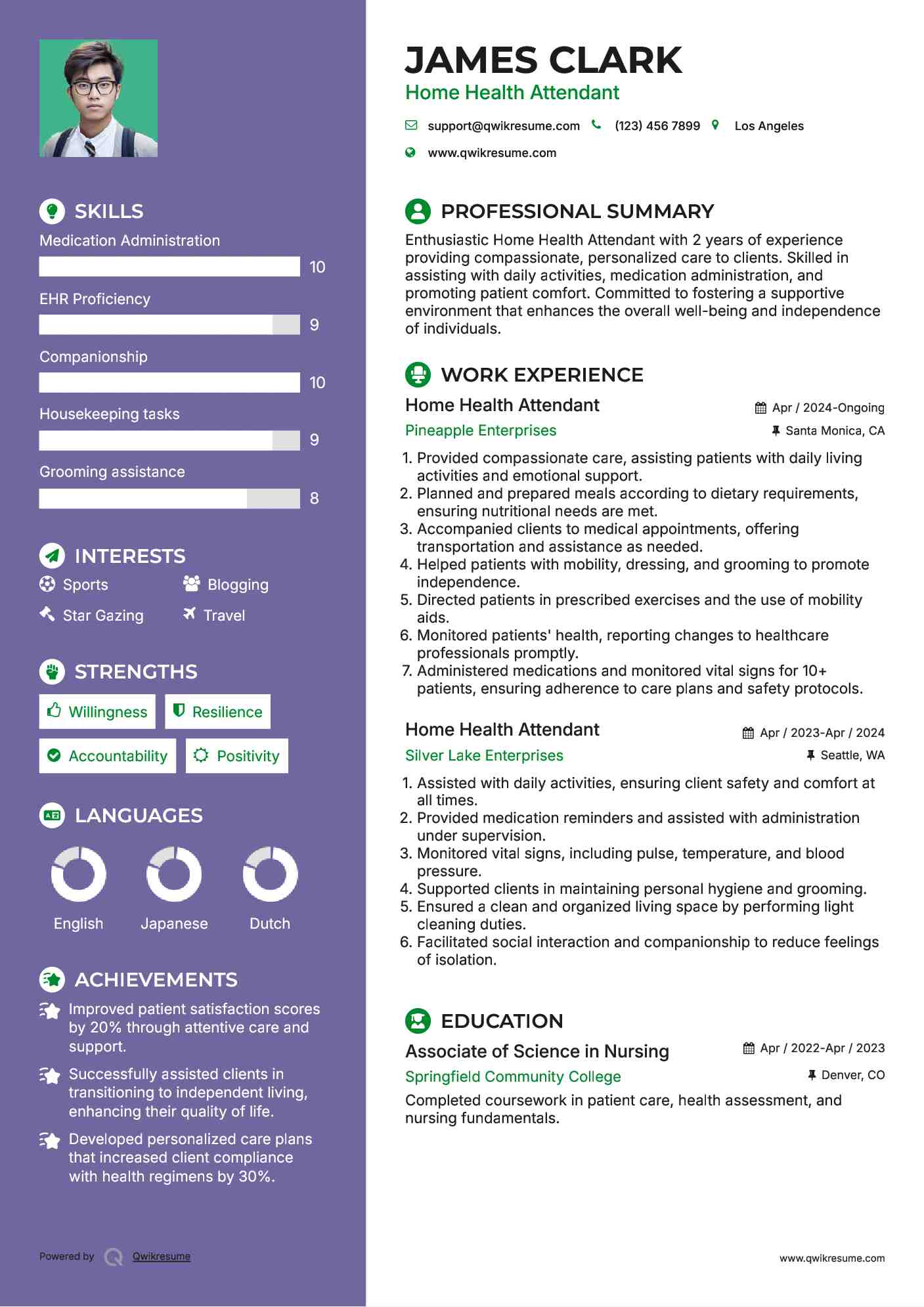 Home Health Attendant Resume Model