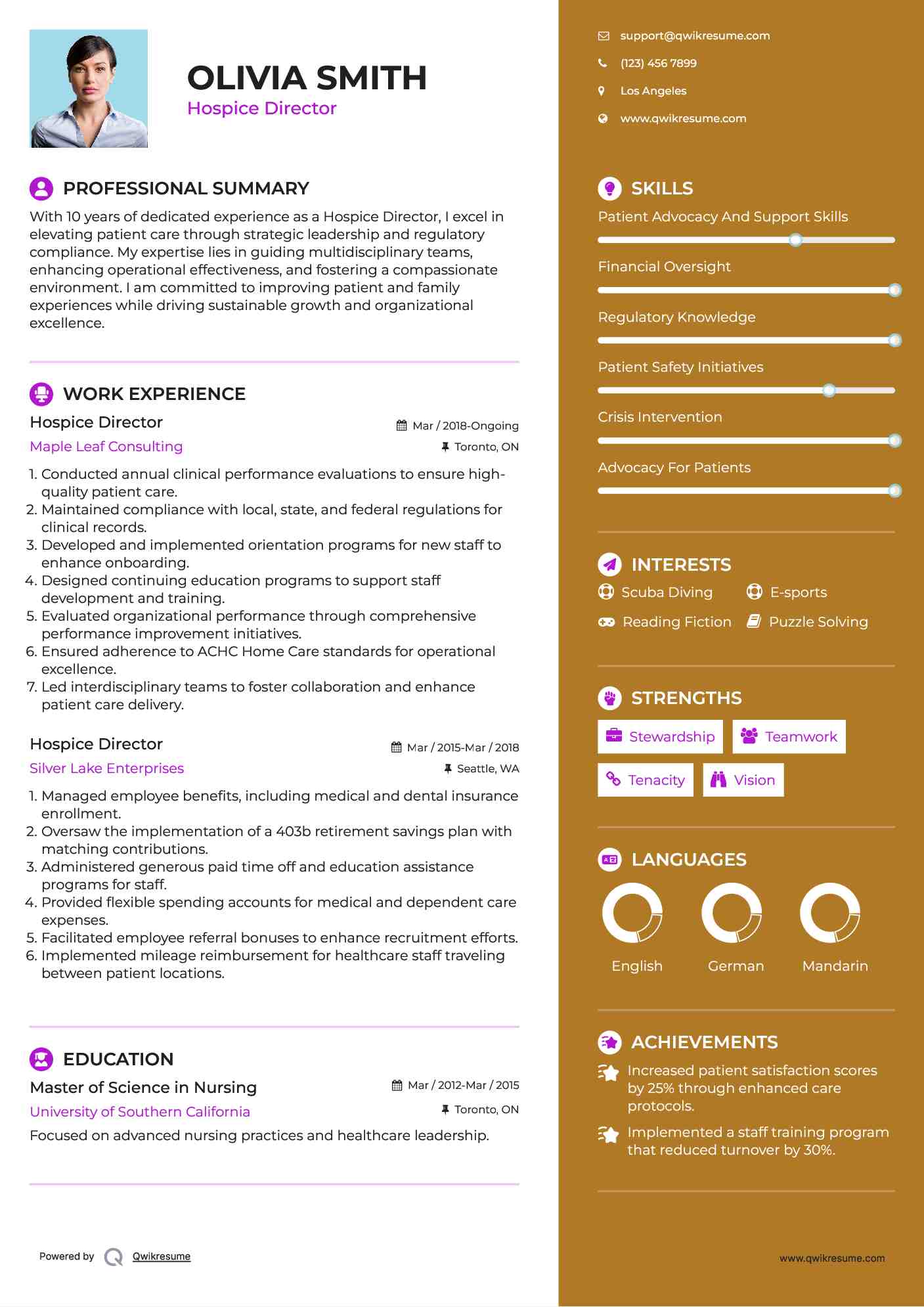 Hospice Director Resume Template