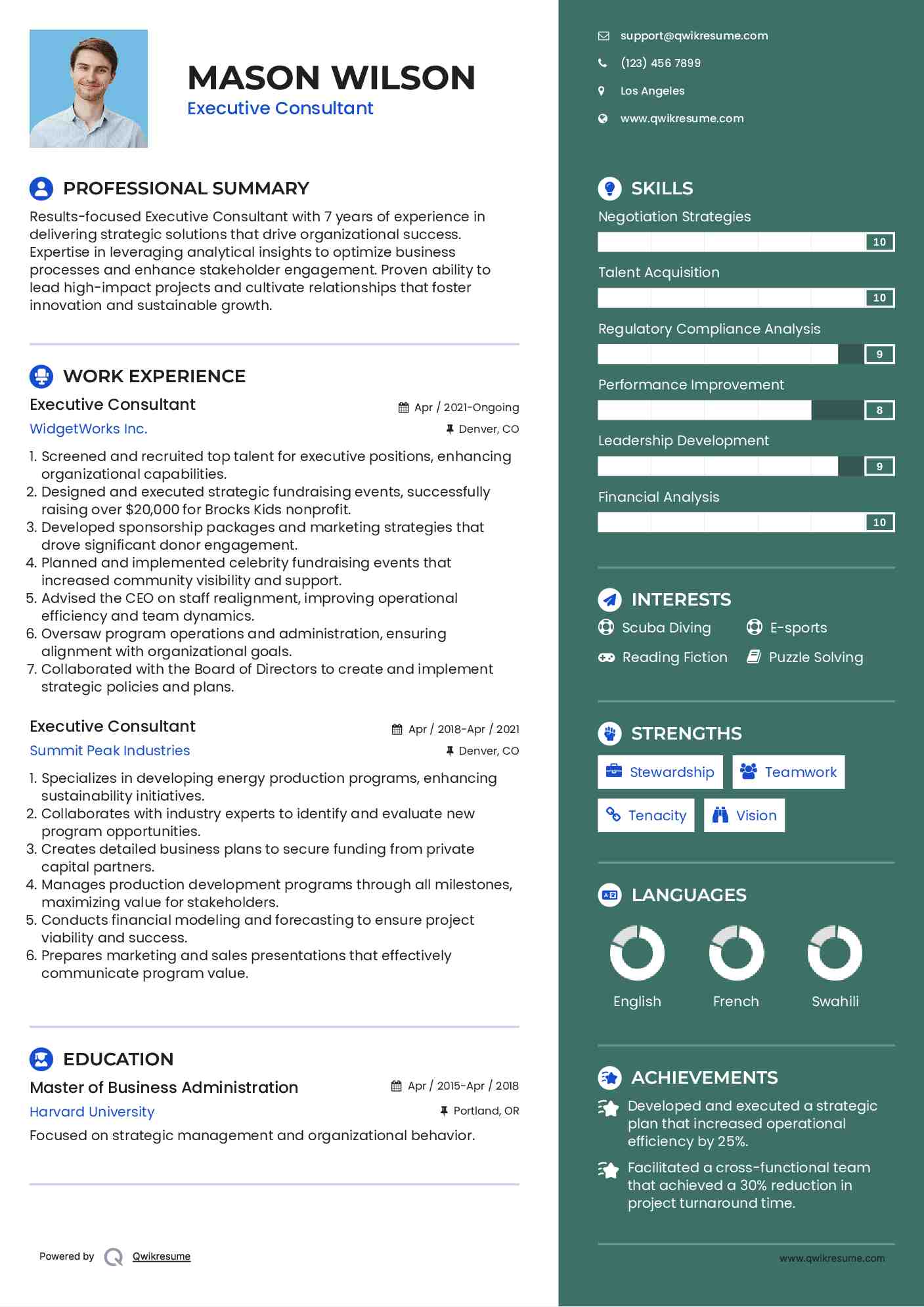 Executive Consultant Resume Template