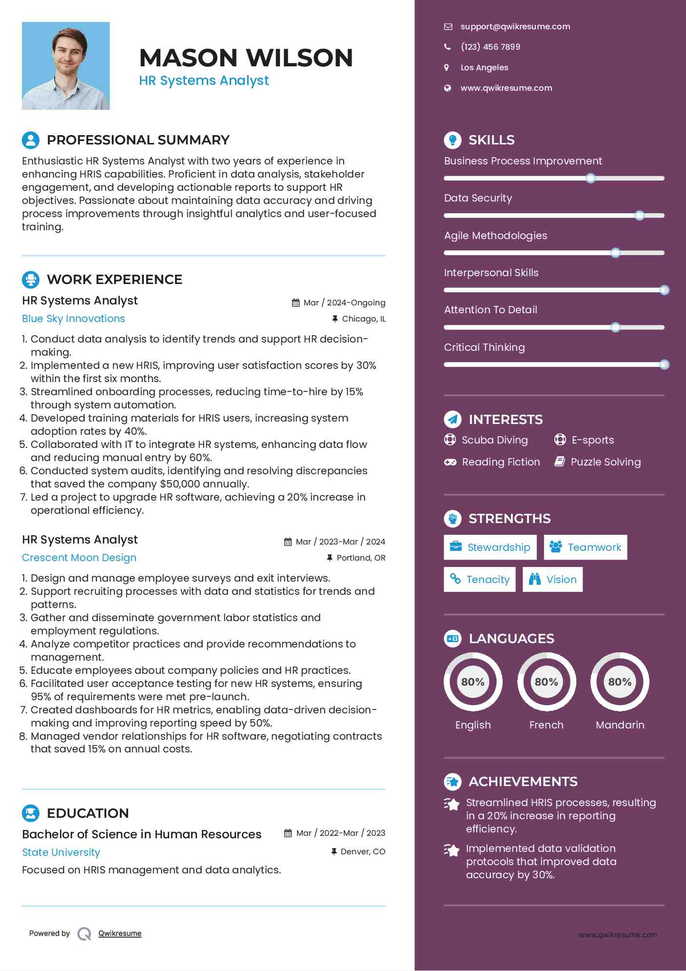 HR Systems Analyst Resume Model