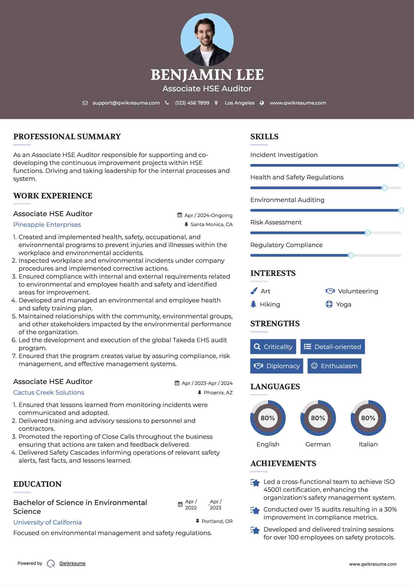 Associate HSE Auditor Resume Model