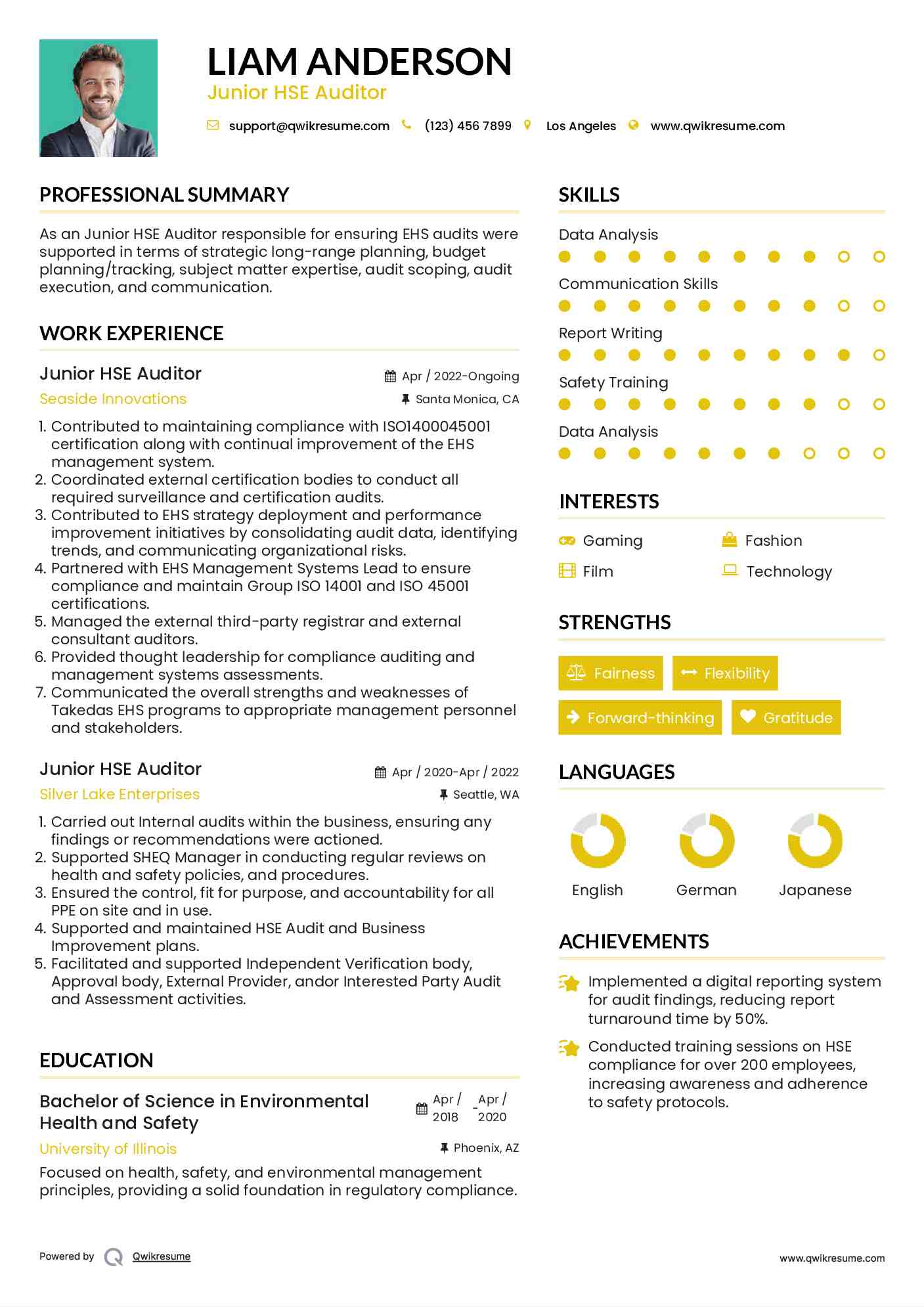 Junior HSE Auditor Resume Format