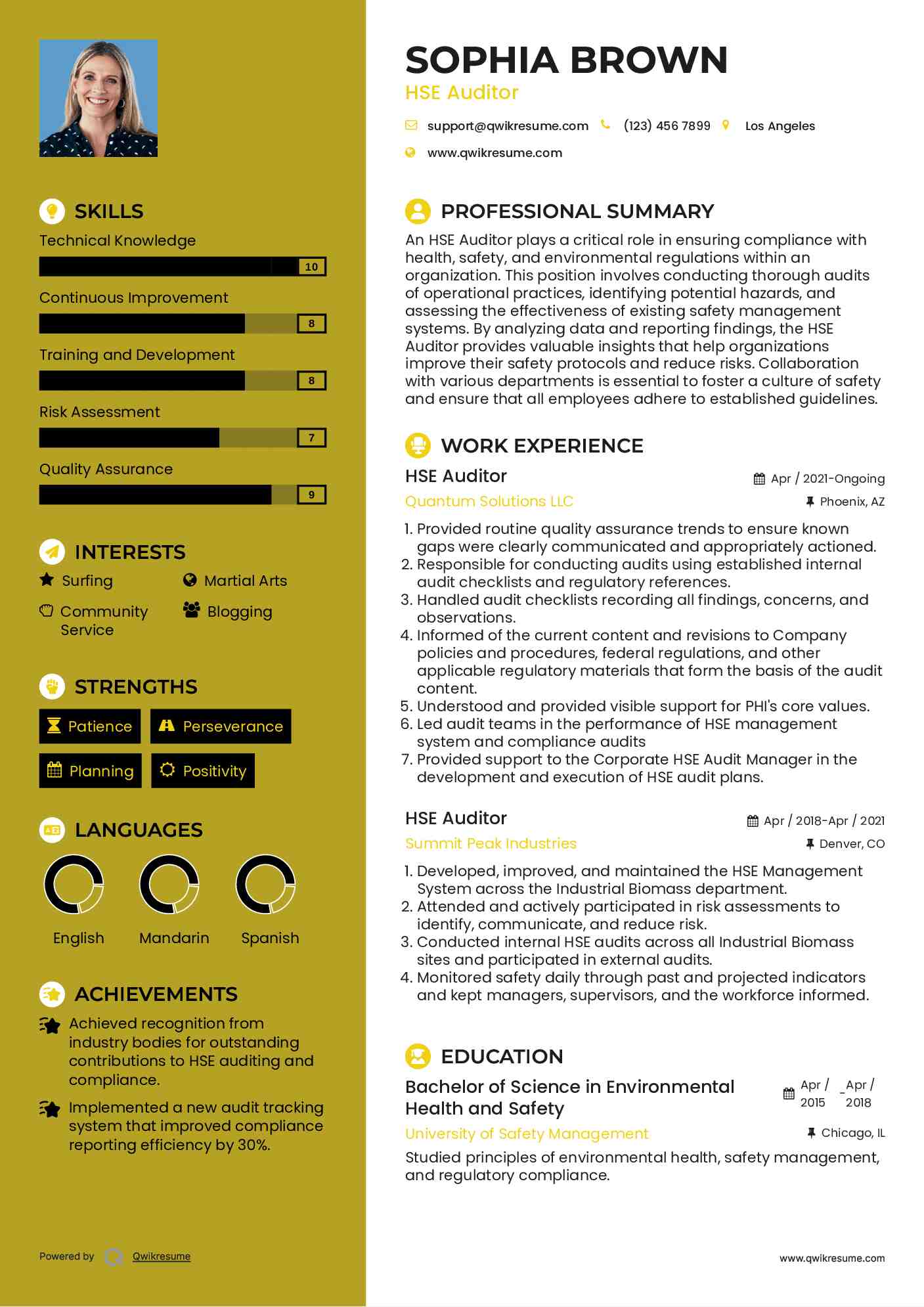 HSE Auditor Resume Format