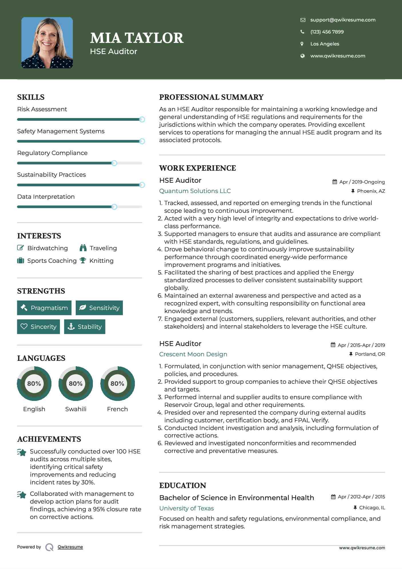 HSE Auditor Resume Template