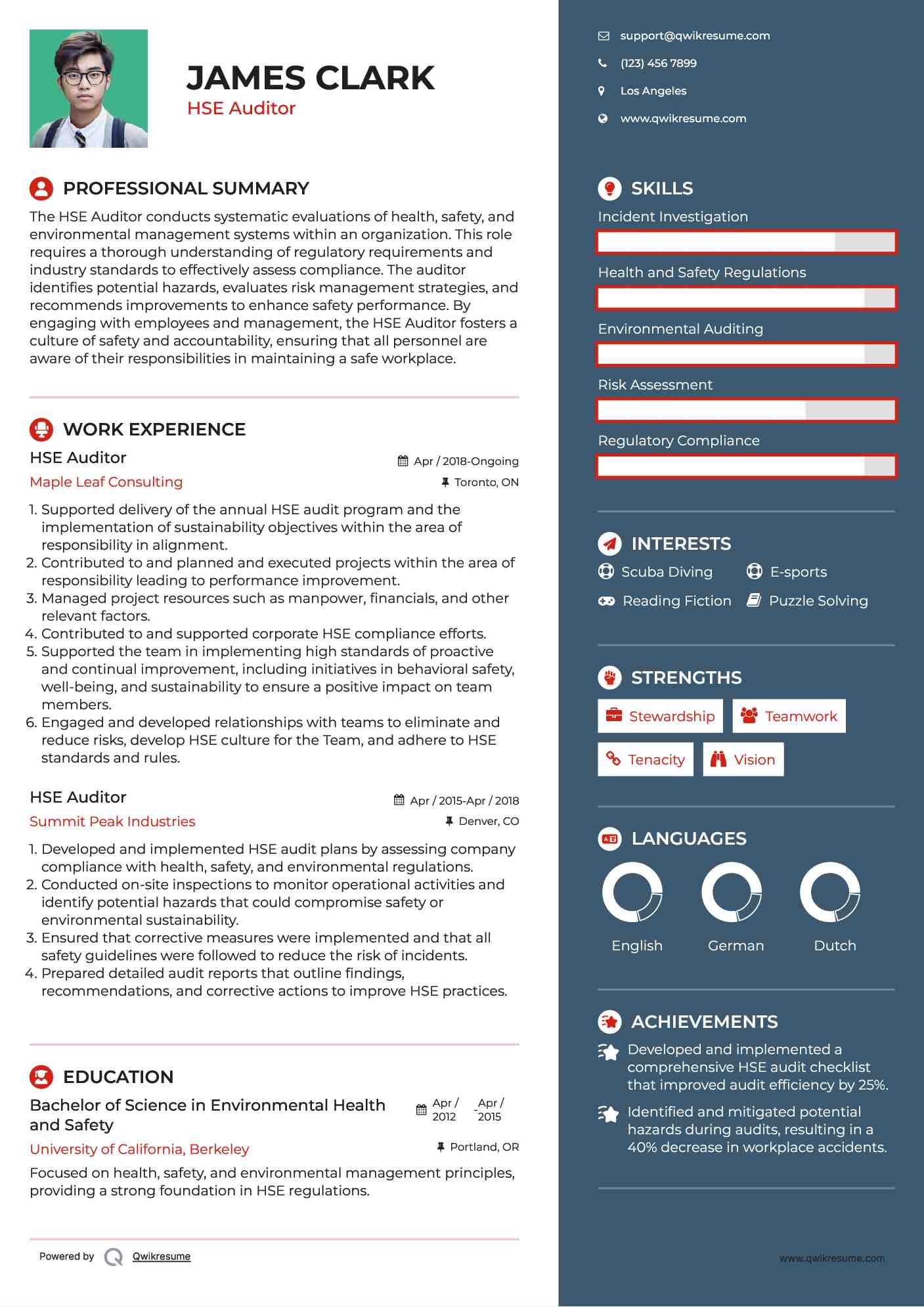 HSE Auditor Resume Model