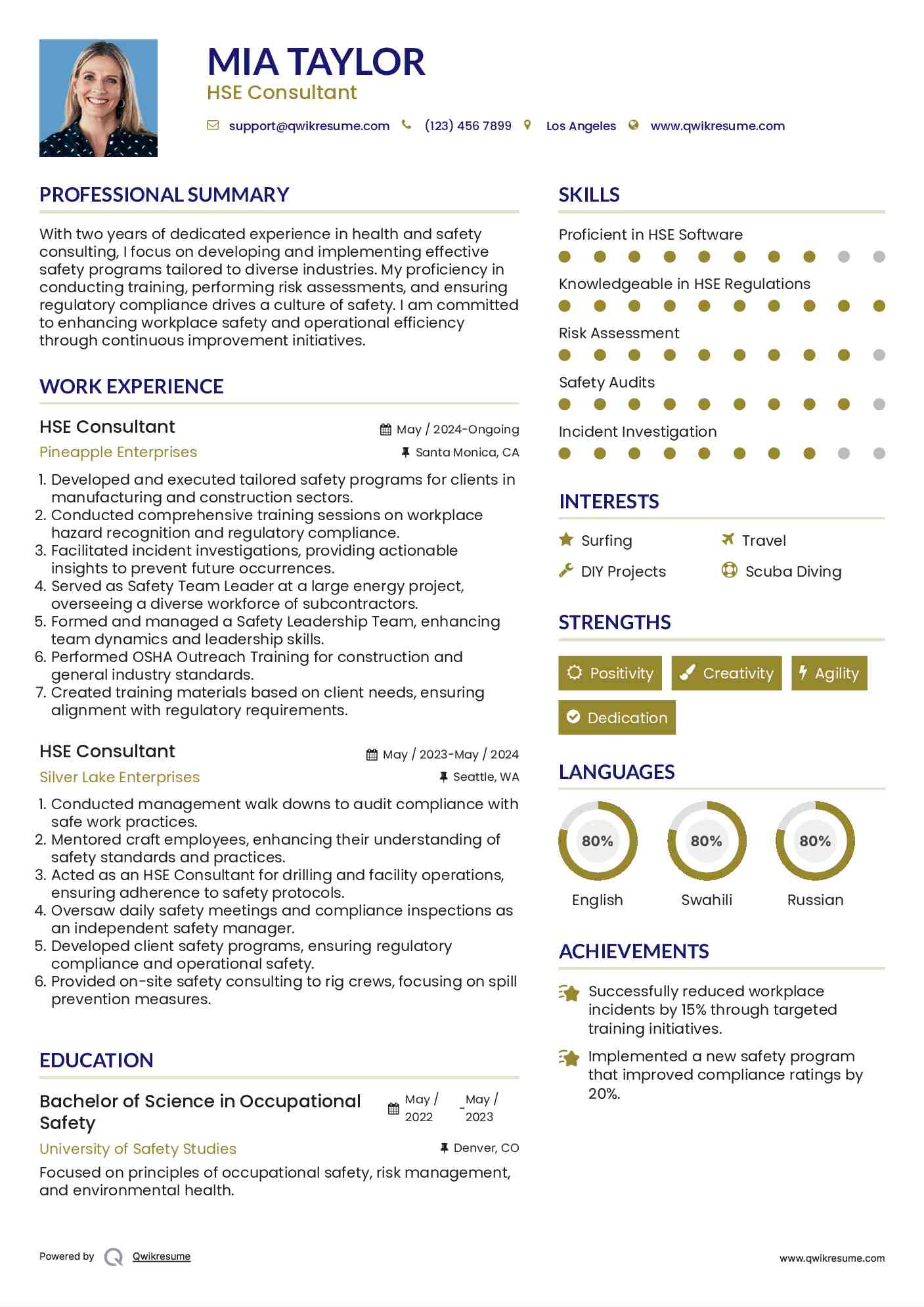 HSE Consultant Resume Template
