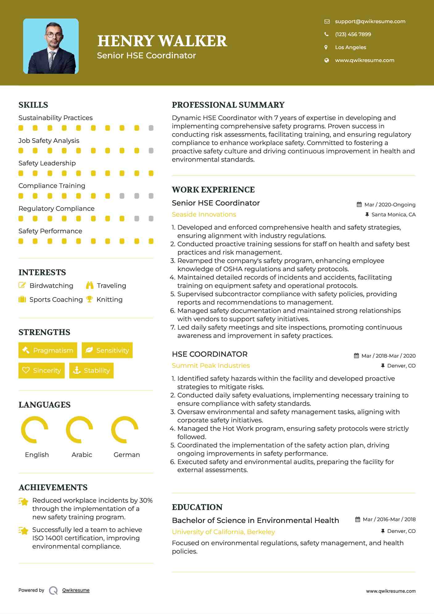 Senior HSE Coordinator Resume Example