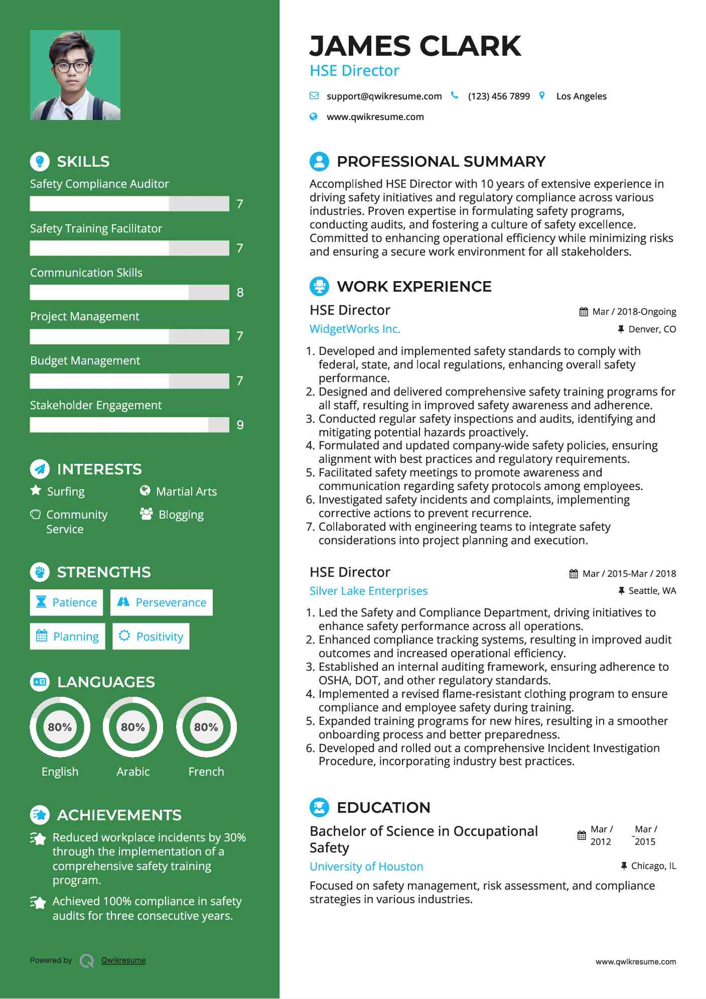 HSE Director Resume Example