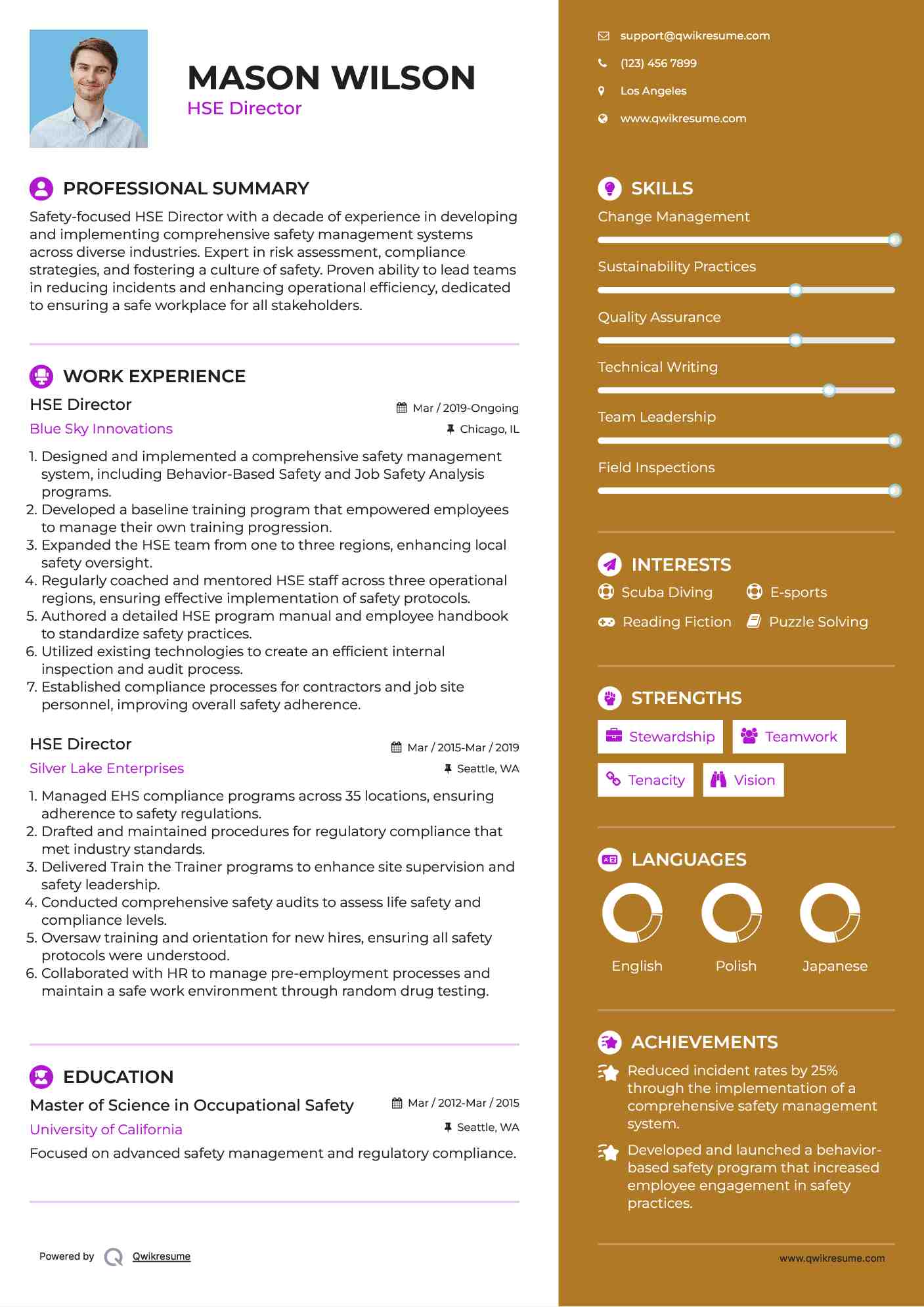 HSE Director Resume Sample