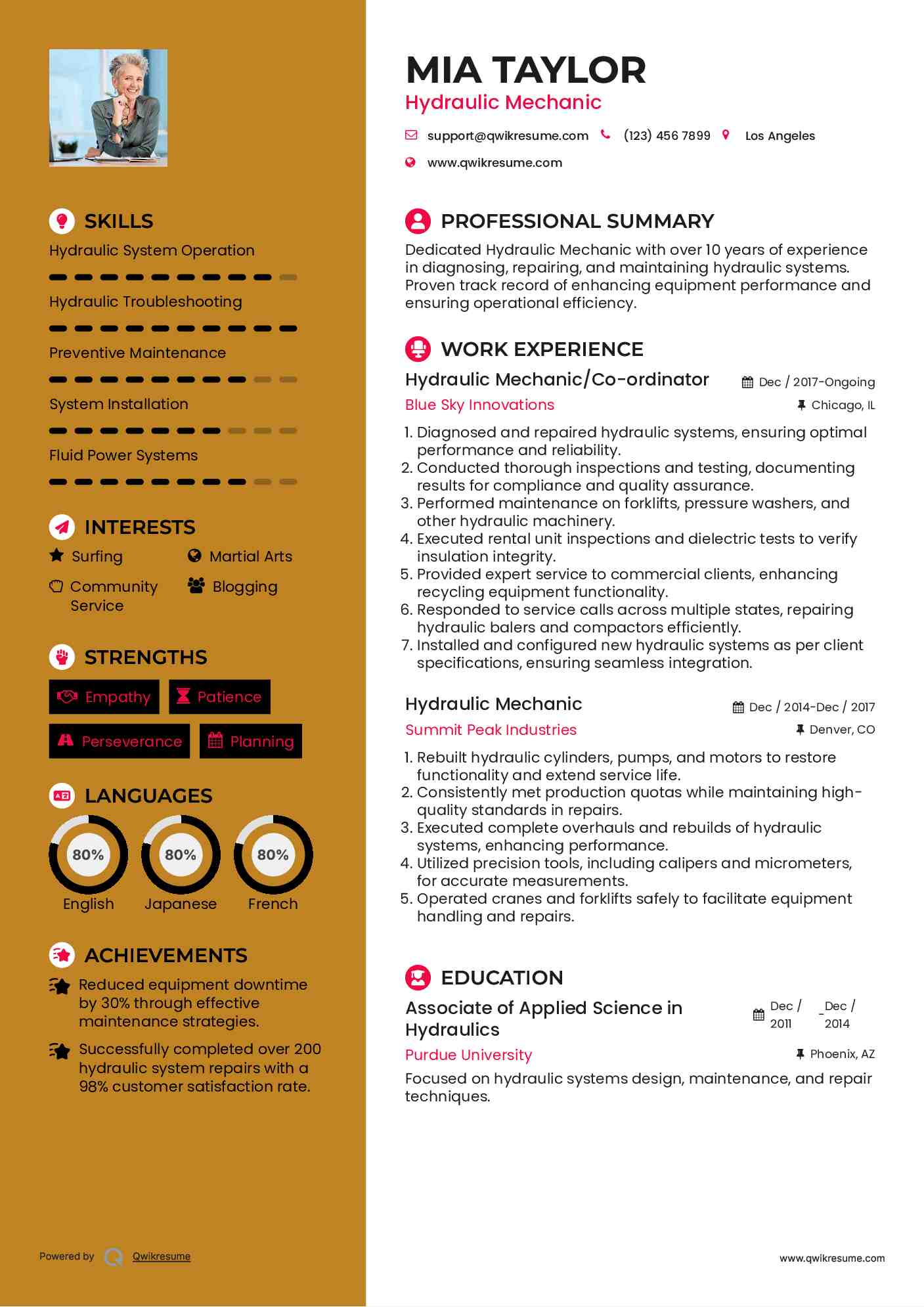 Hydraulic Mechanic/Co-ordinator Resume Template