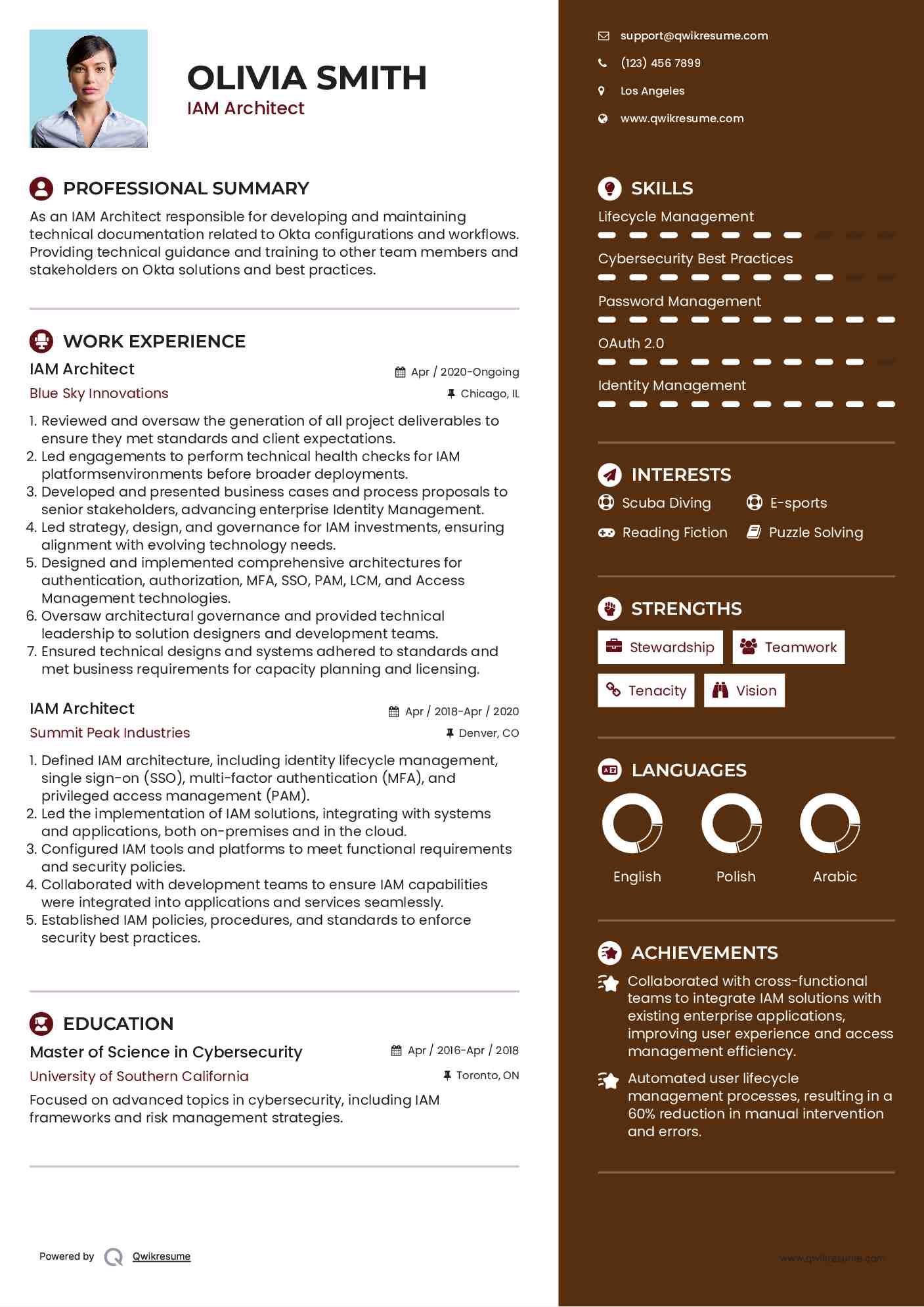 IAM Architect Resume Model