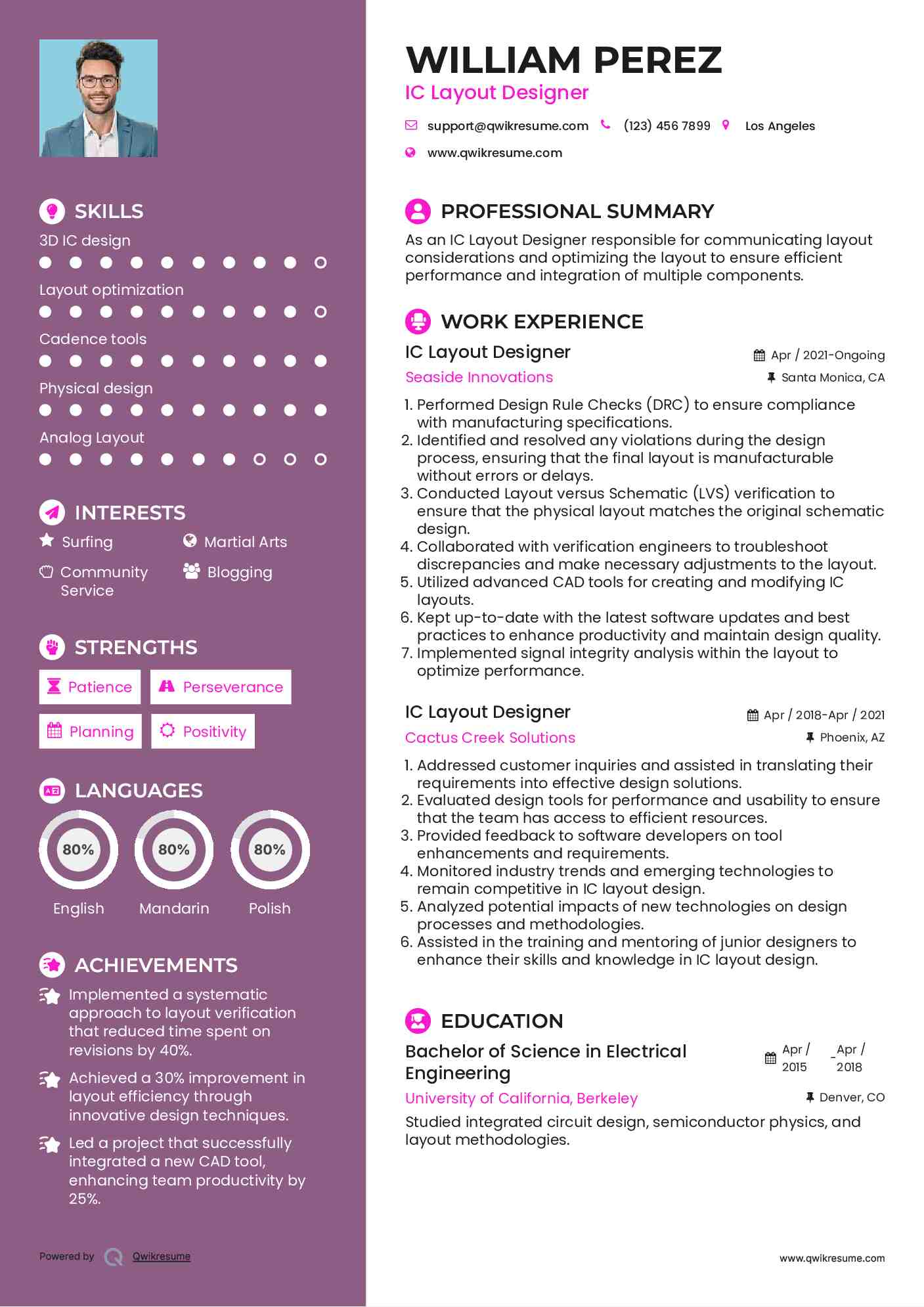 IC Layout Designer Resume Sample