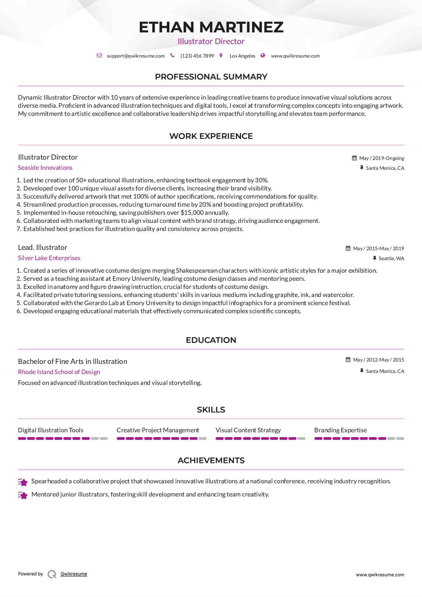 Illustrator Director Resume Sample