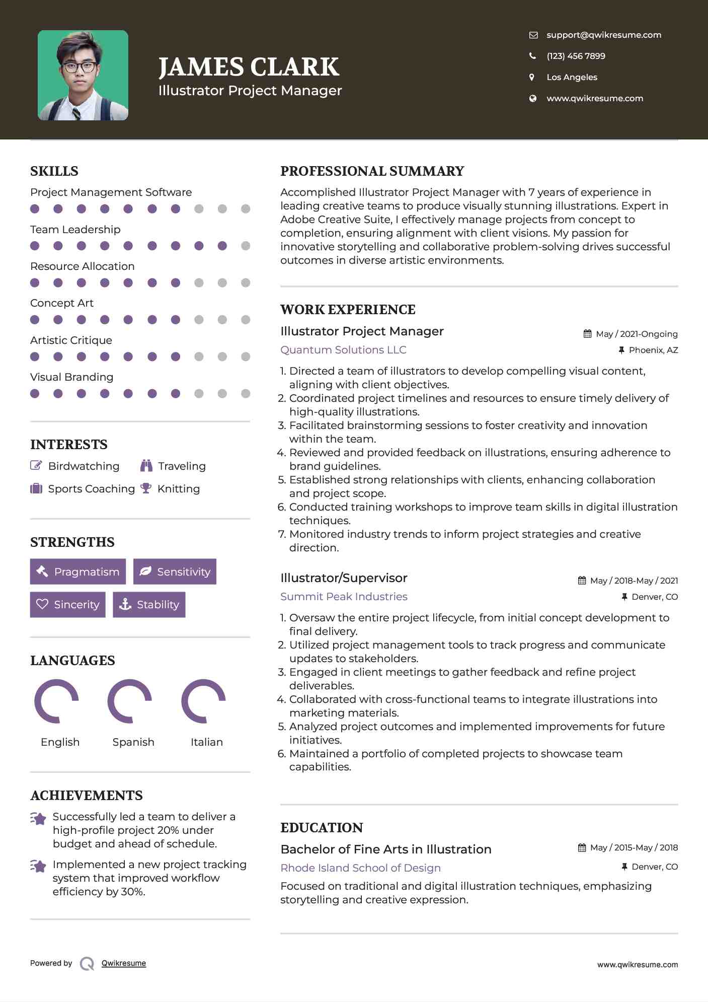 Illustrator Project Manager Resume Format