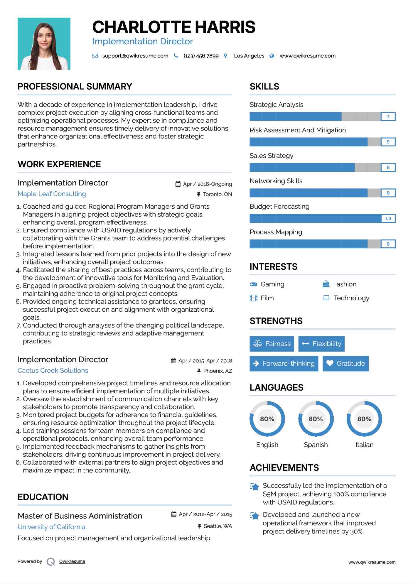 Implementation Director Resume Template