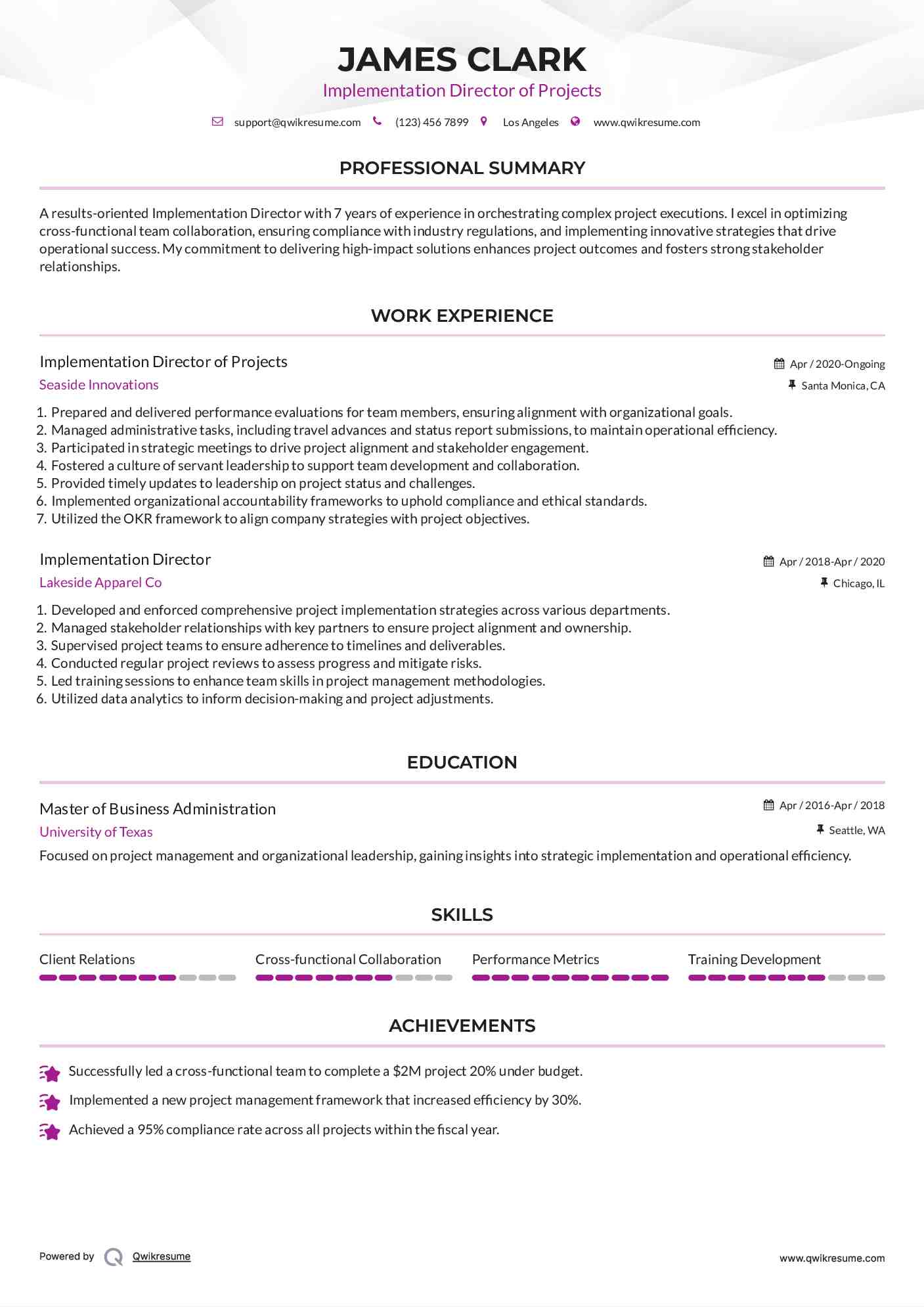Implementation Director of Projects Resume Template
