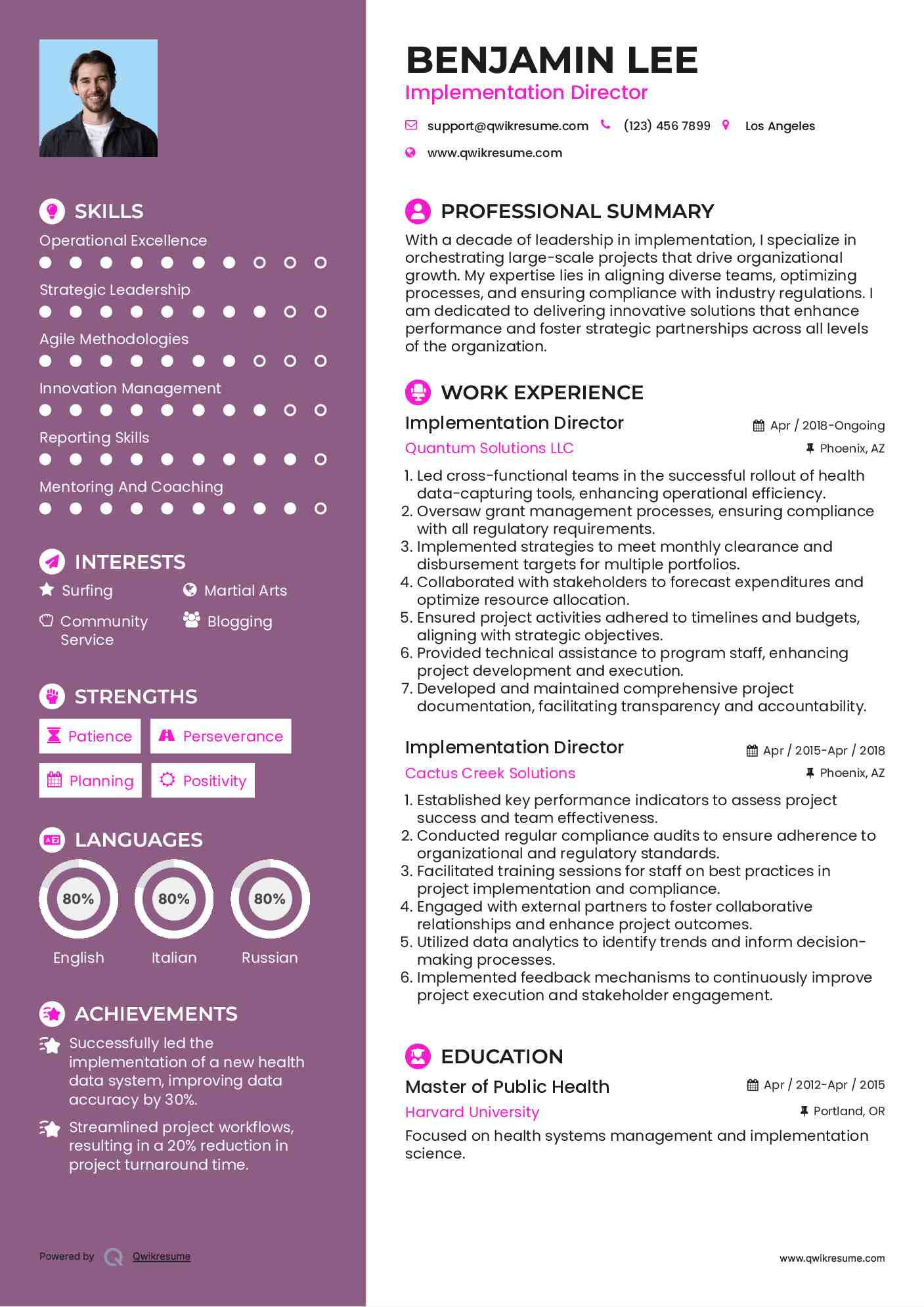 Implementation Director Resume Model