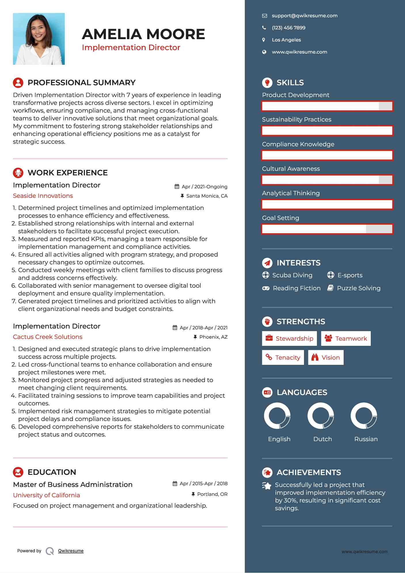 Implementation Director Resume Sample