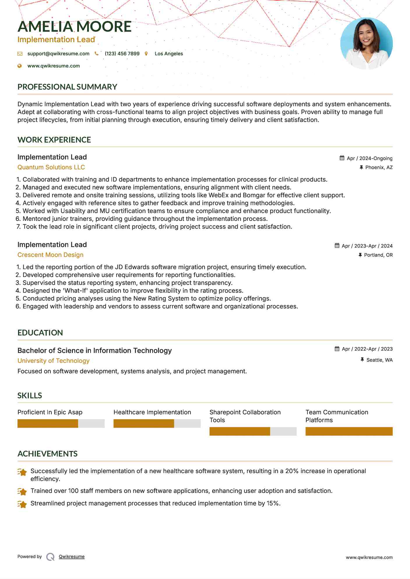 Implementation Lead Resume Format