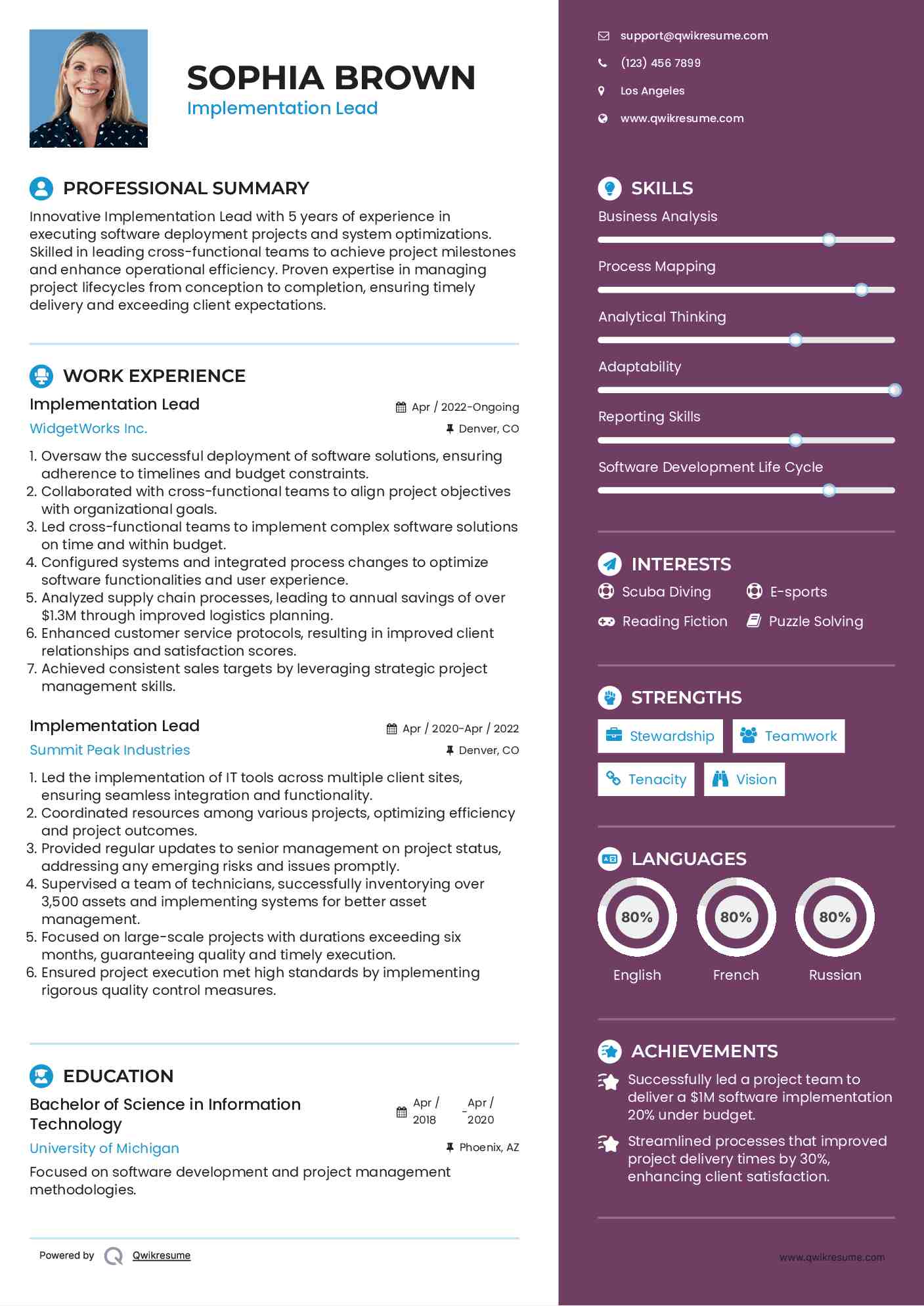 Implementation Lead Resume Example