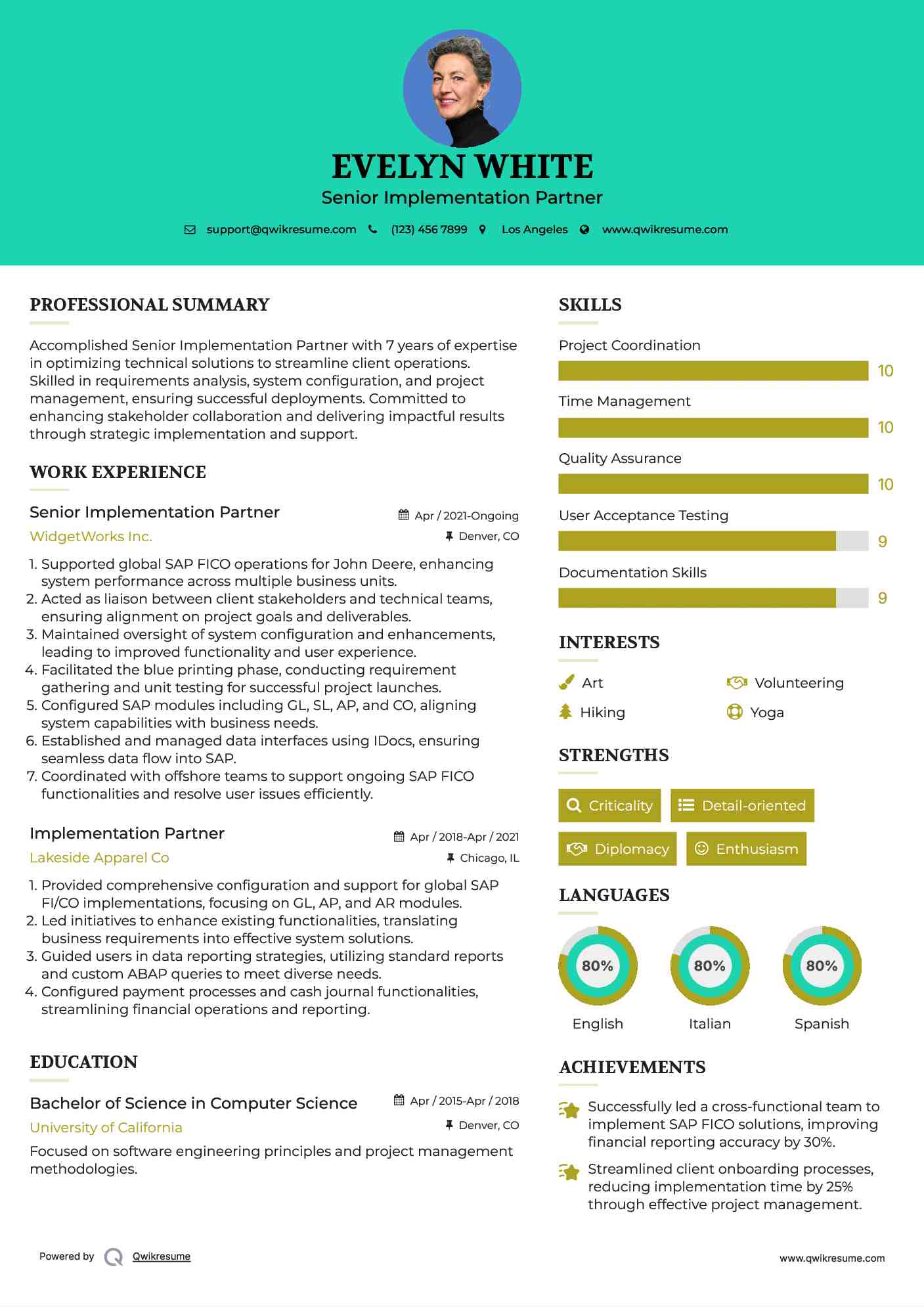 Senior Implementation Partner Resume Template