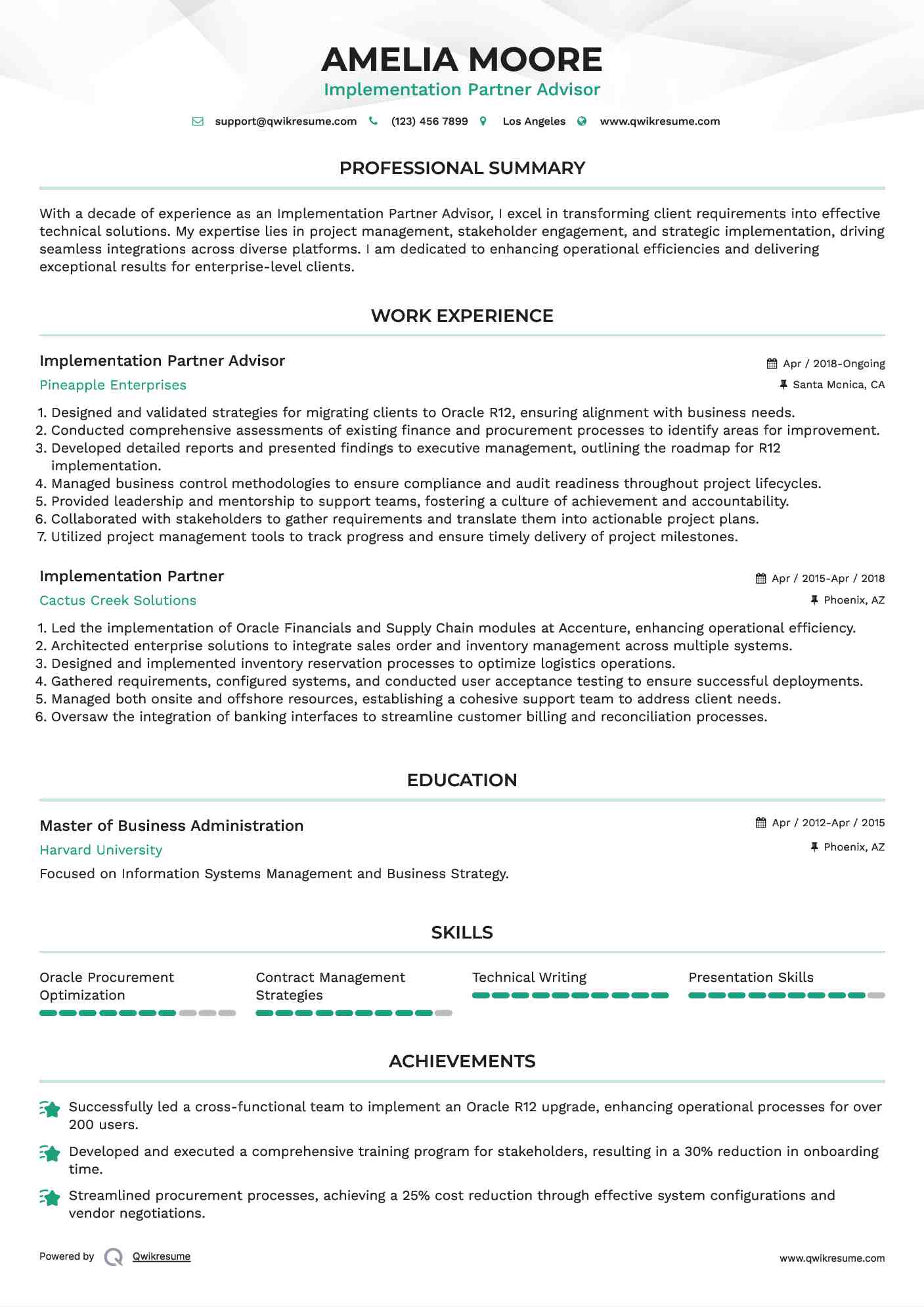 Implementation Partner Advisor Resume Example