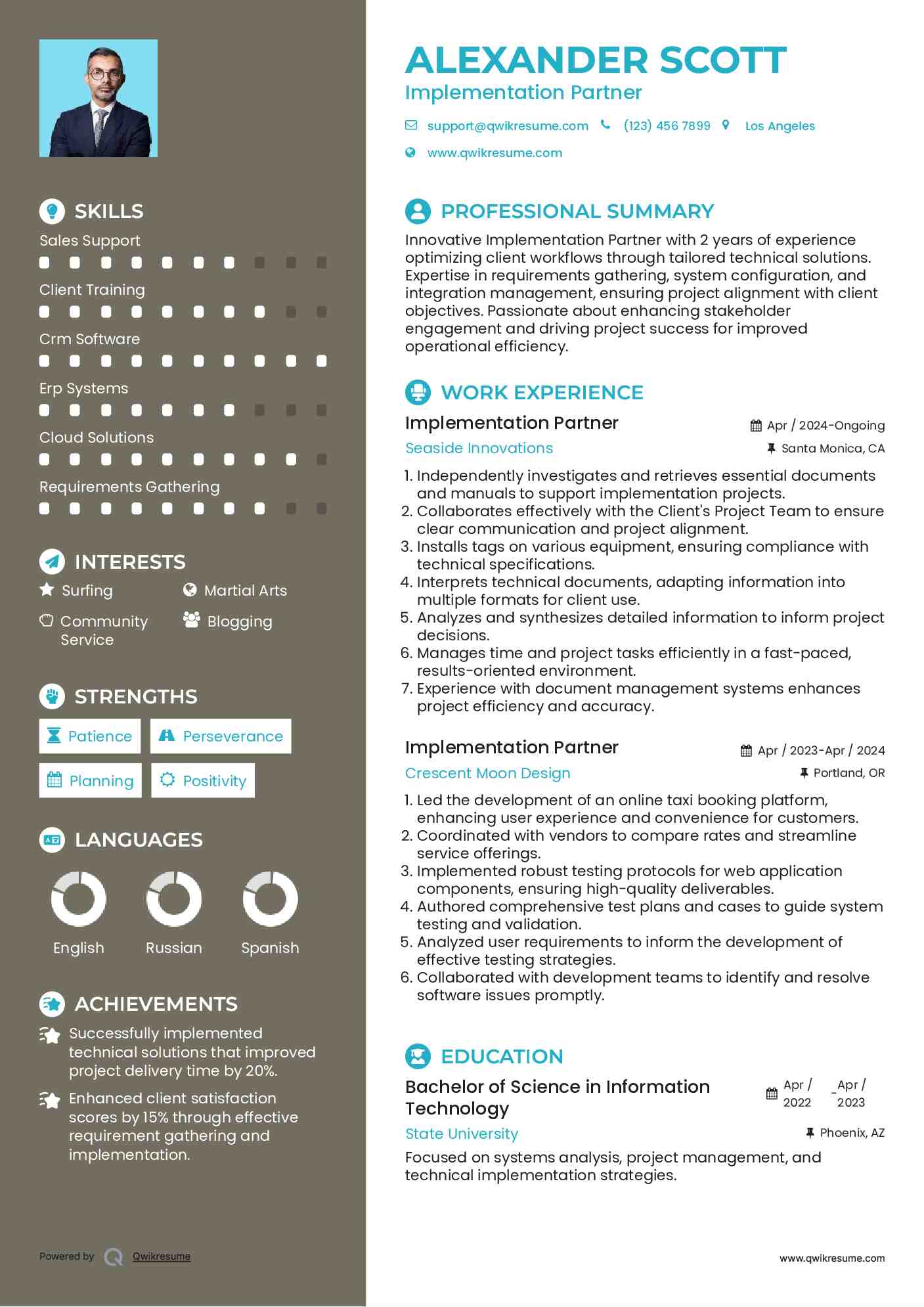 Implementation Partner Resume Template