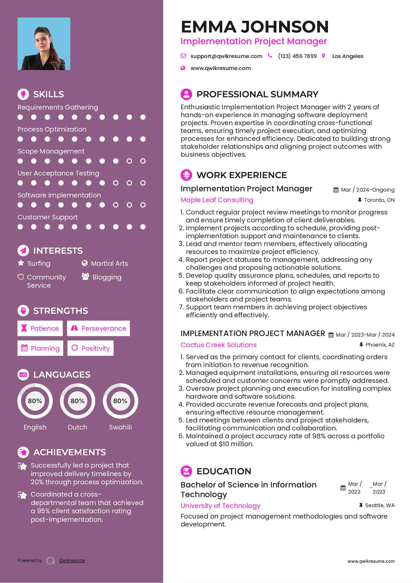 Implementation Project Manager Resume Format