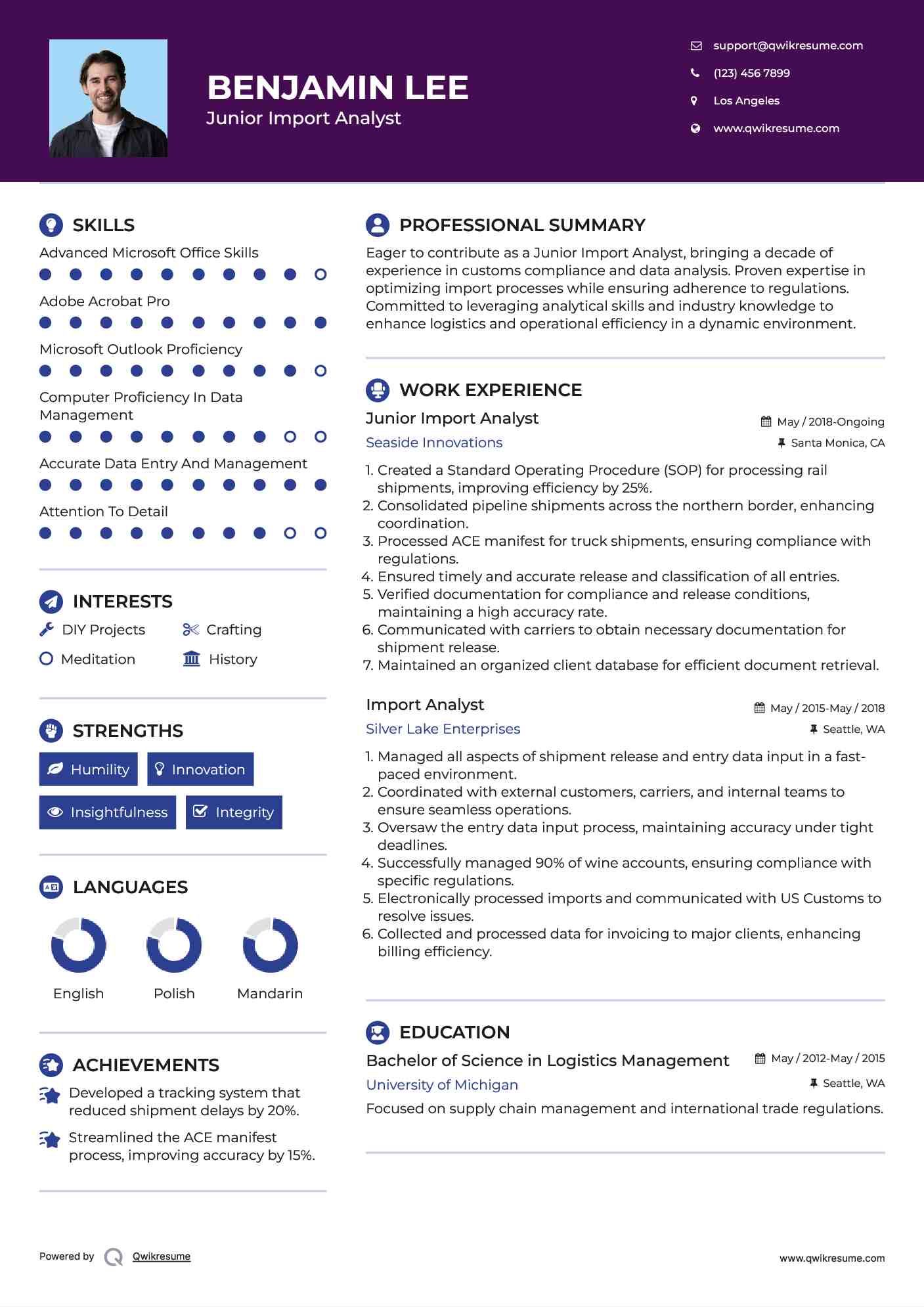 Junior Import Analyst Resume Format