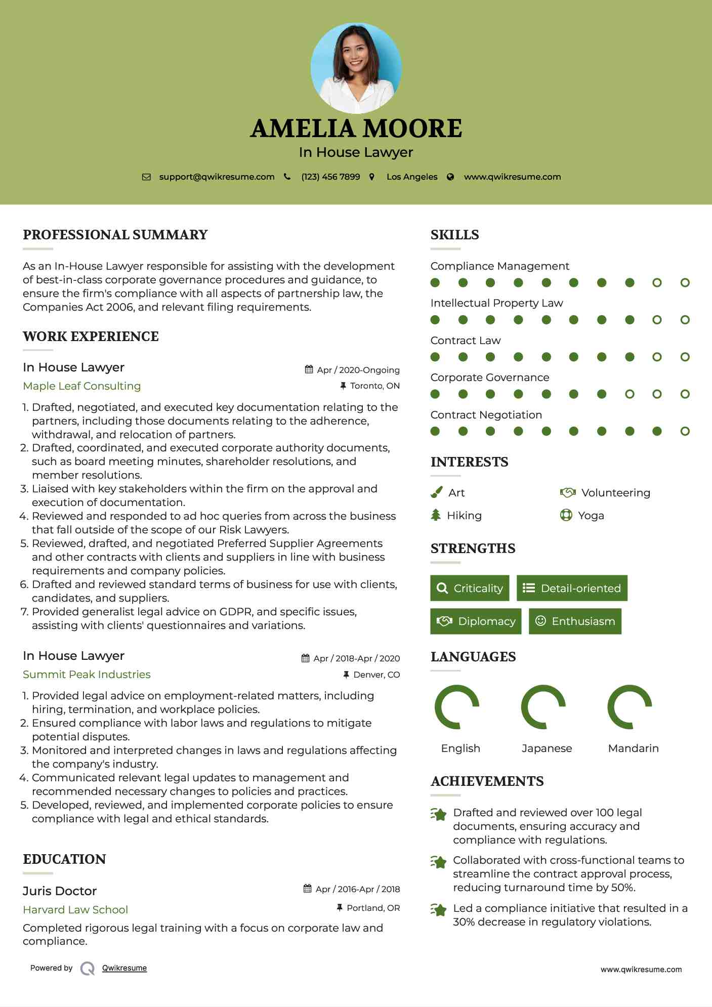 In House Lawyer Resume Model