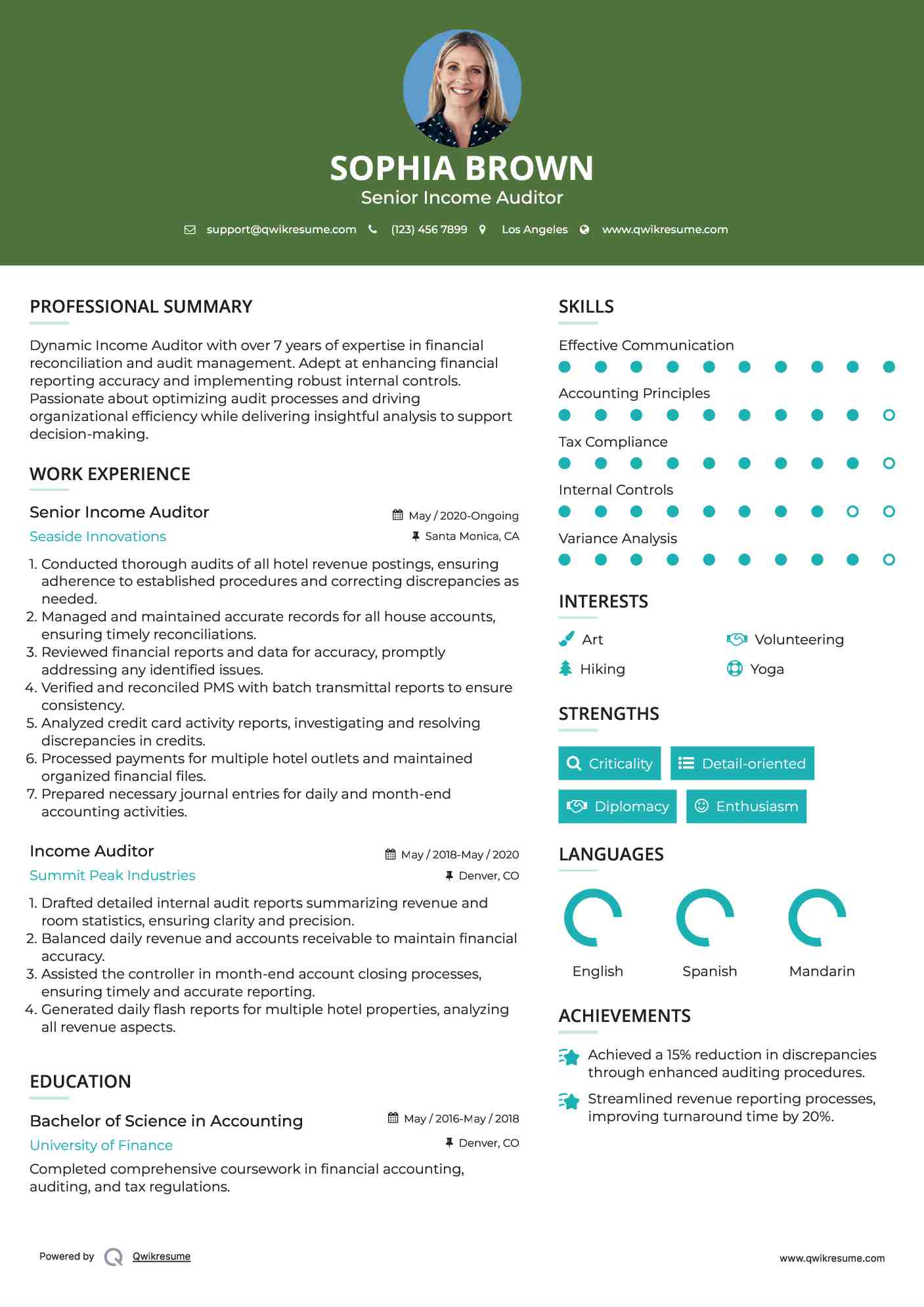 Senior Income Auditor Resume Sample