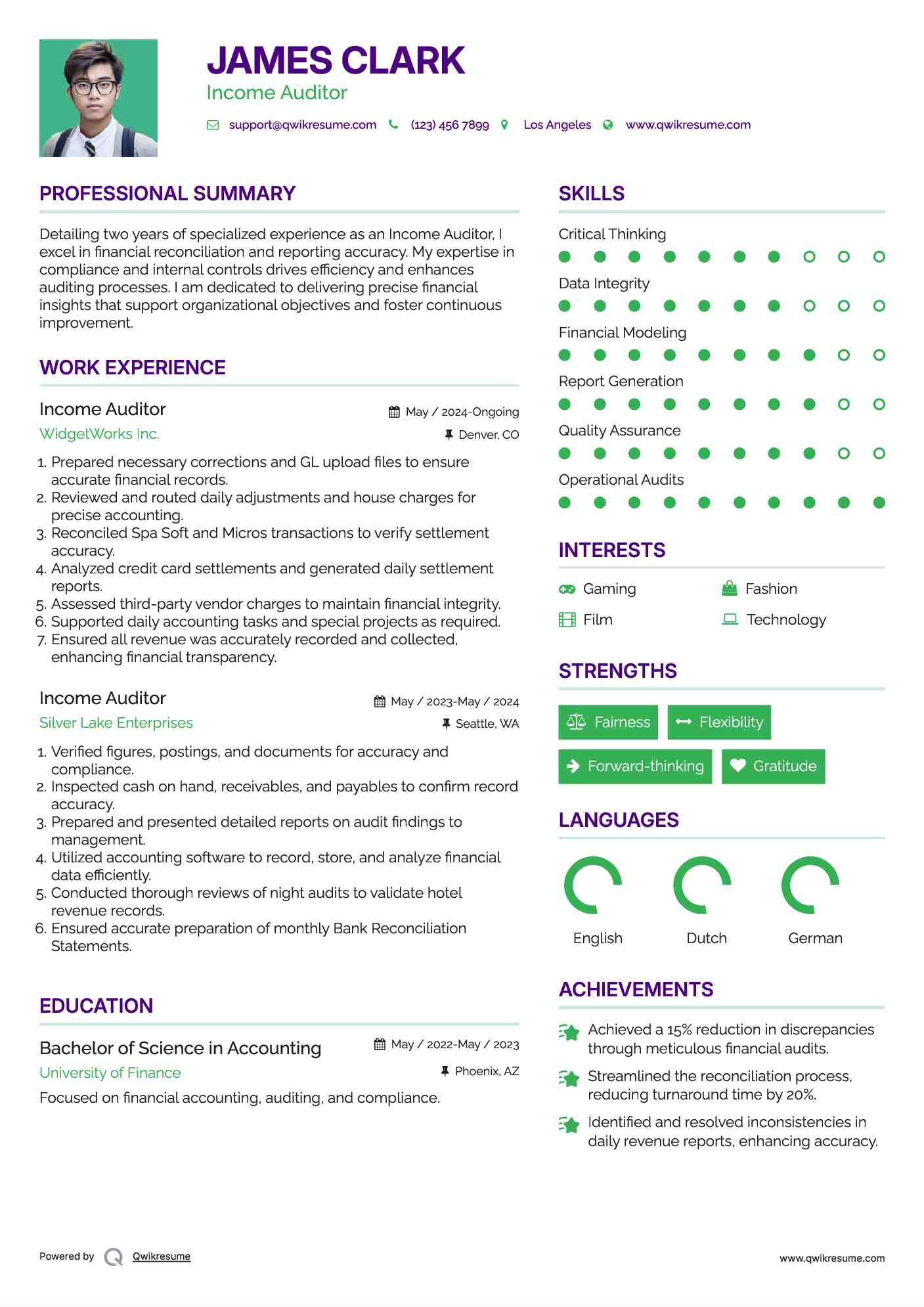 Income Auditor Resume Model