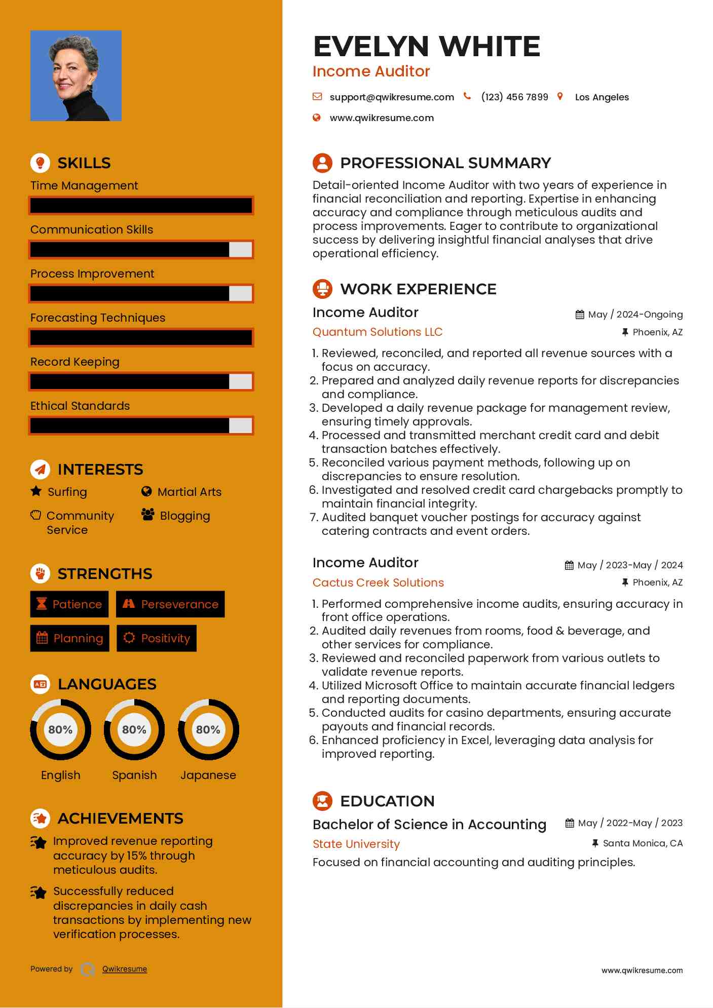 Income Auditor Resume Model