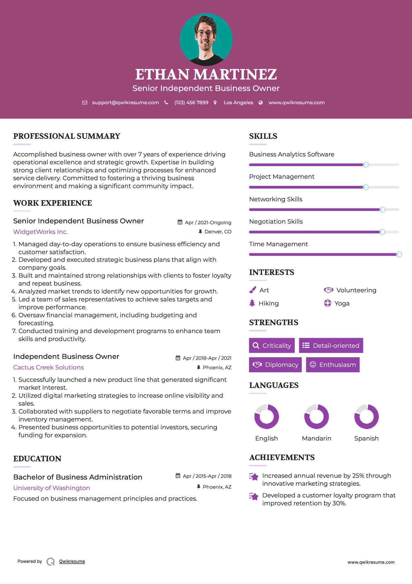 Senior Independent Business Owner Resume Example