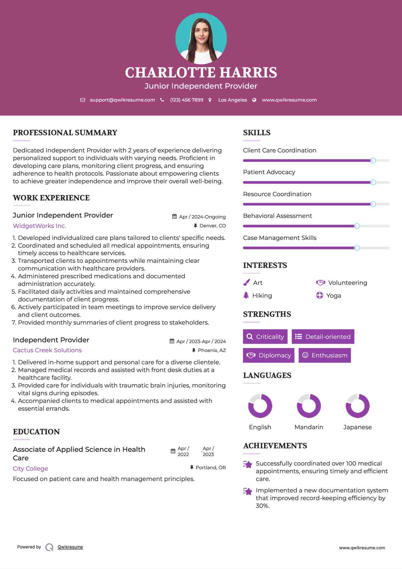 Junior Independent Provider Resume Example