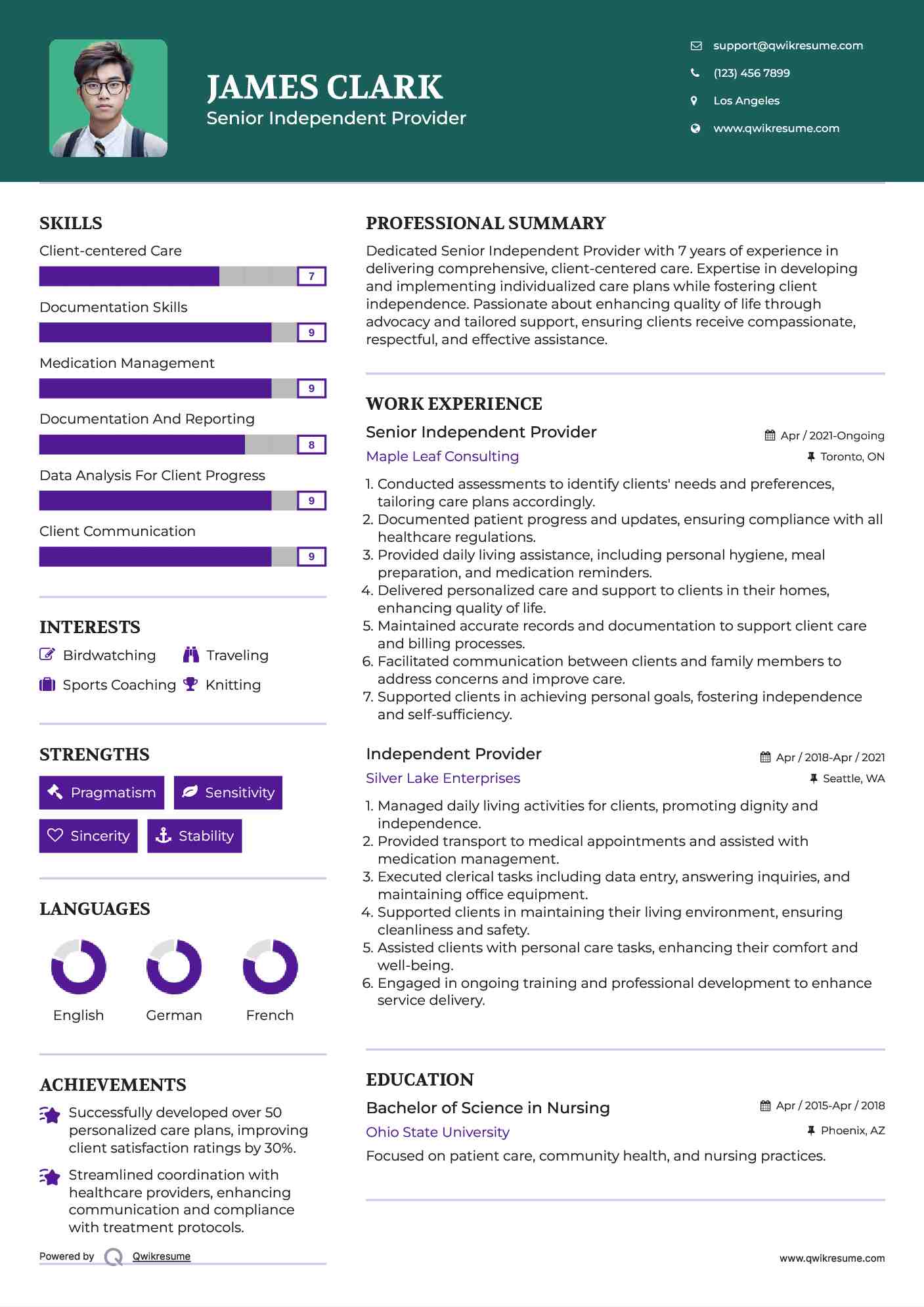 Senior Independent Provider Resume Template
