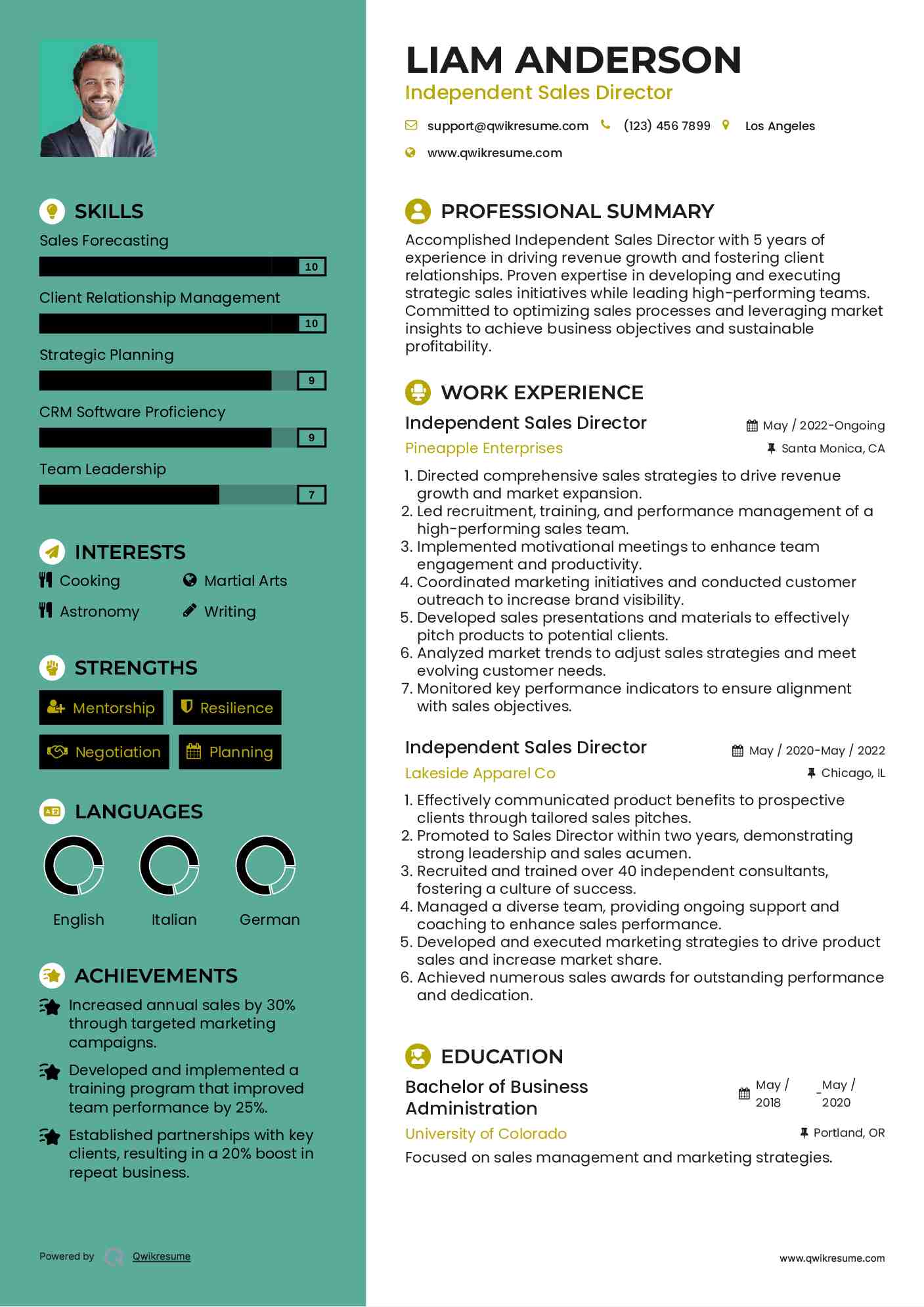 Independent Sales Director Resume Template