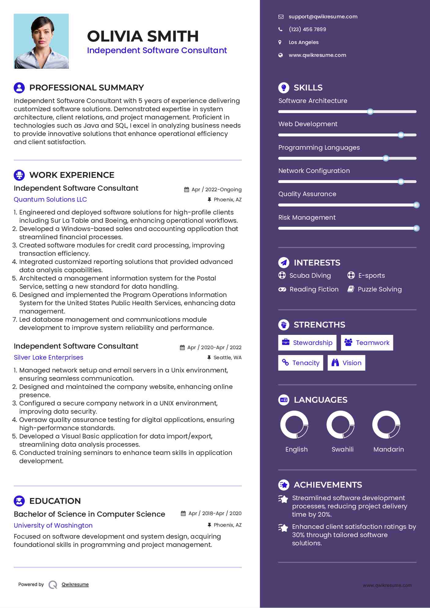 Independent Software Consultant Resume Format