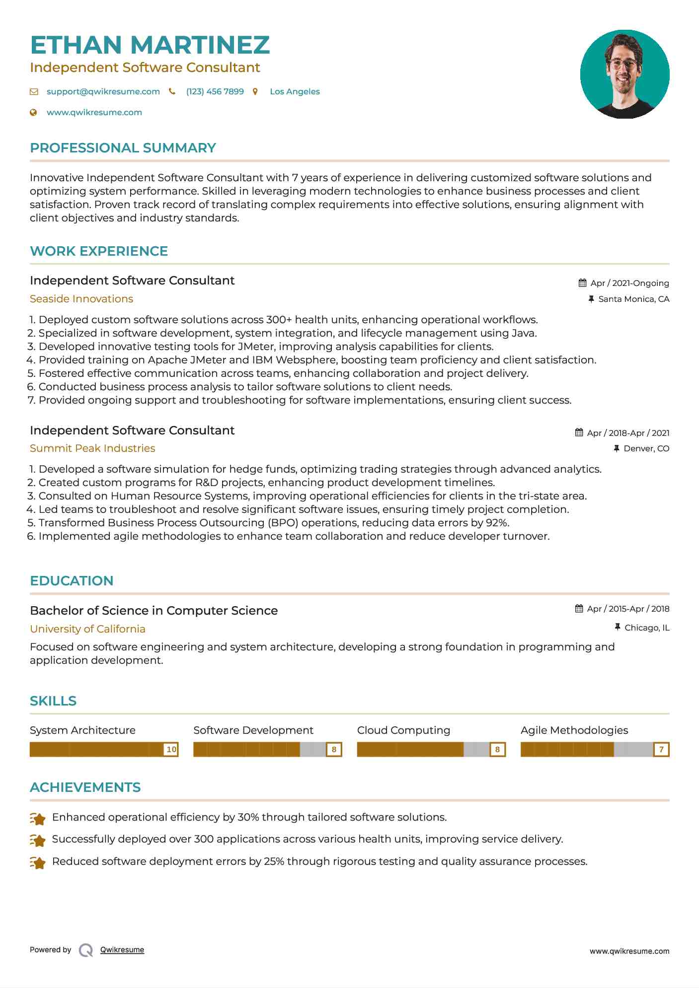 Independent Software Consultant Resume Example