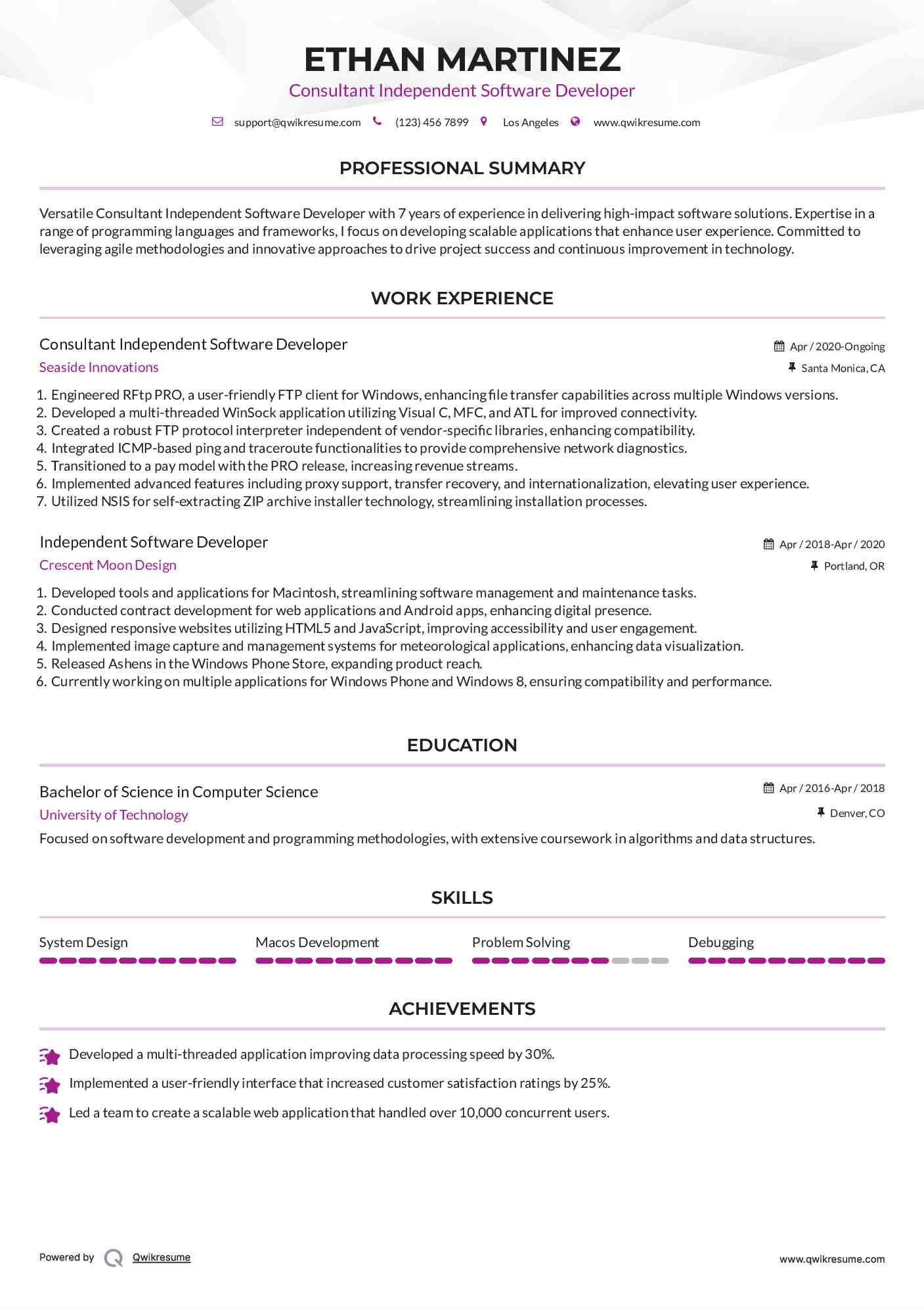 Consultant Independent Software Developer Resume Template