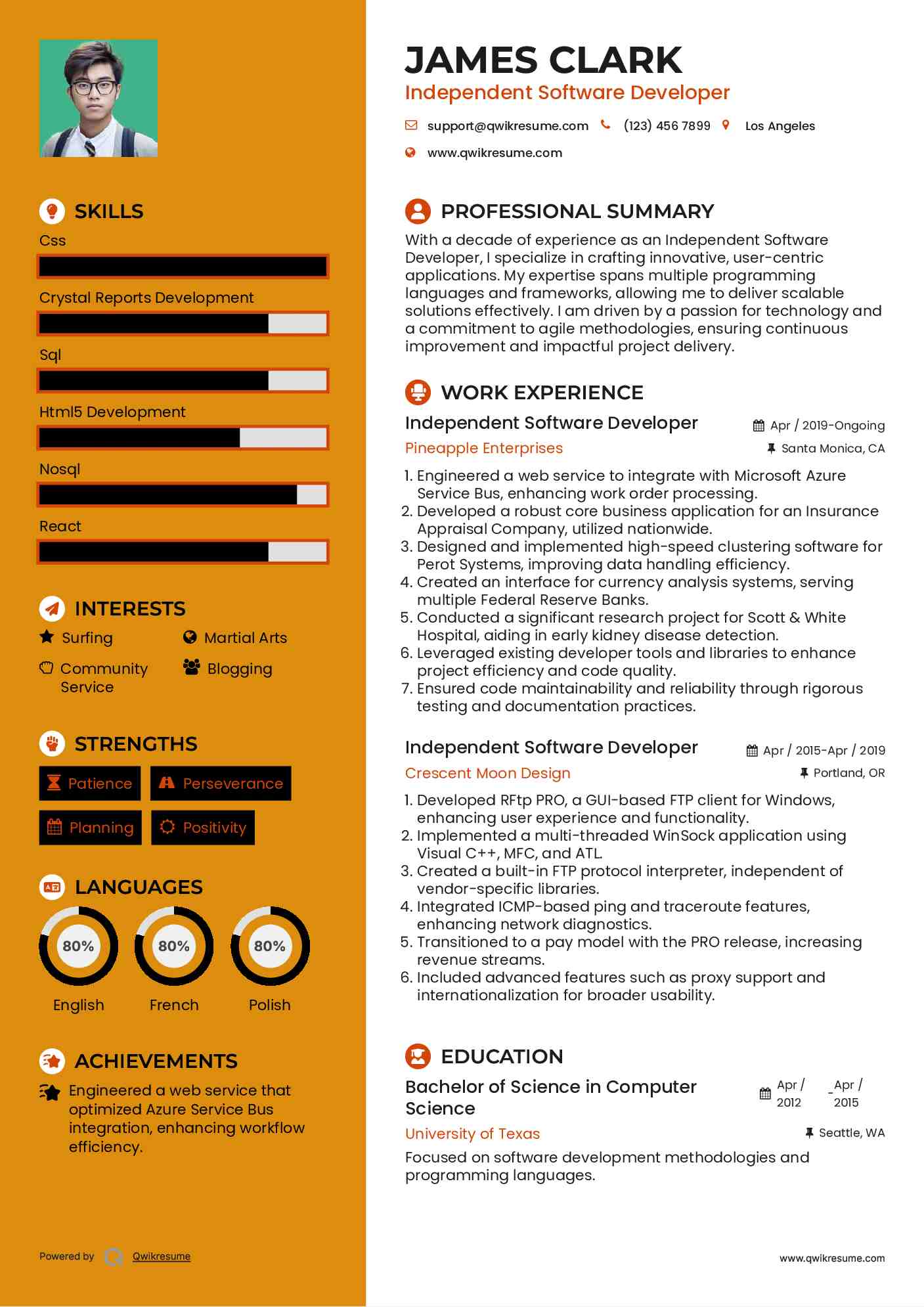 Independent Software Developer Resume Example