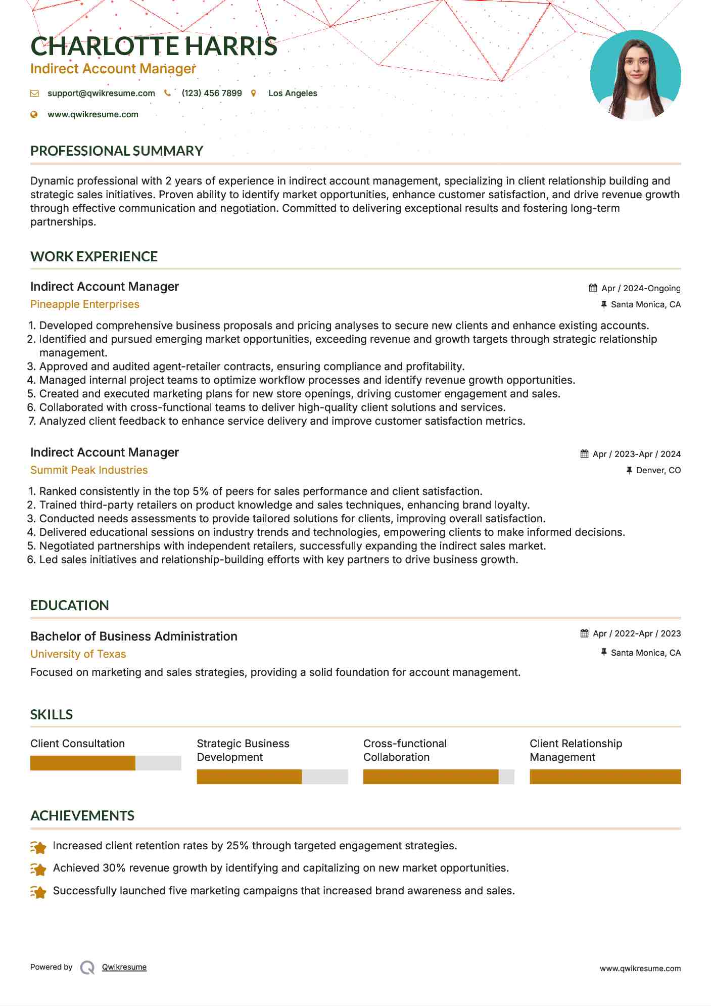 Indirect Account Manager Resume Sample