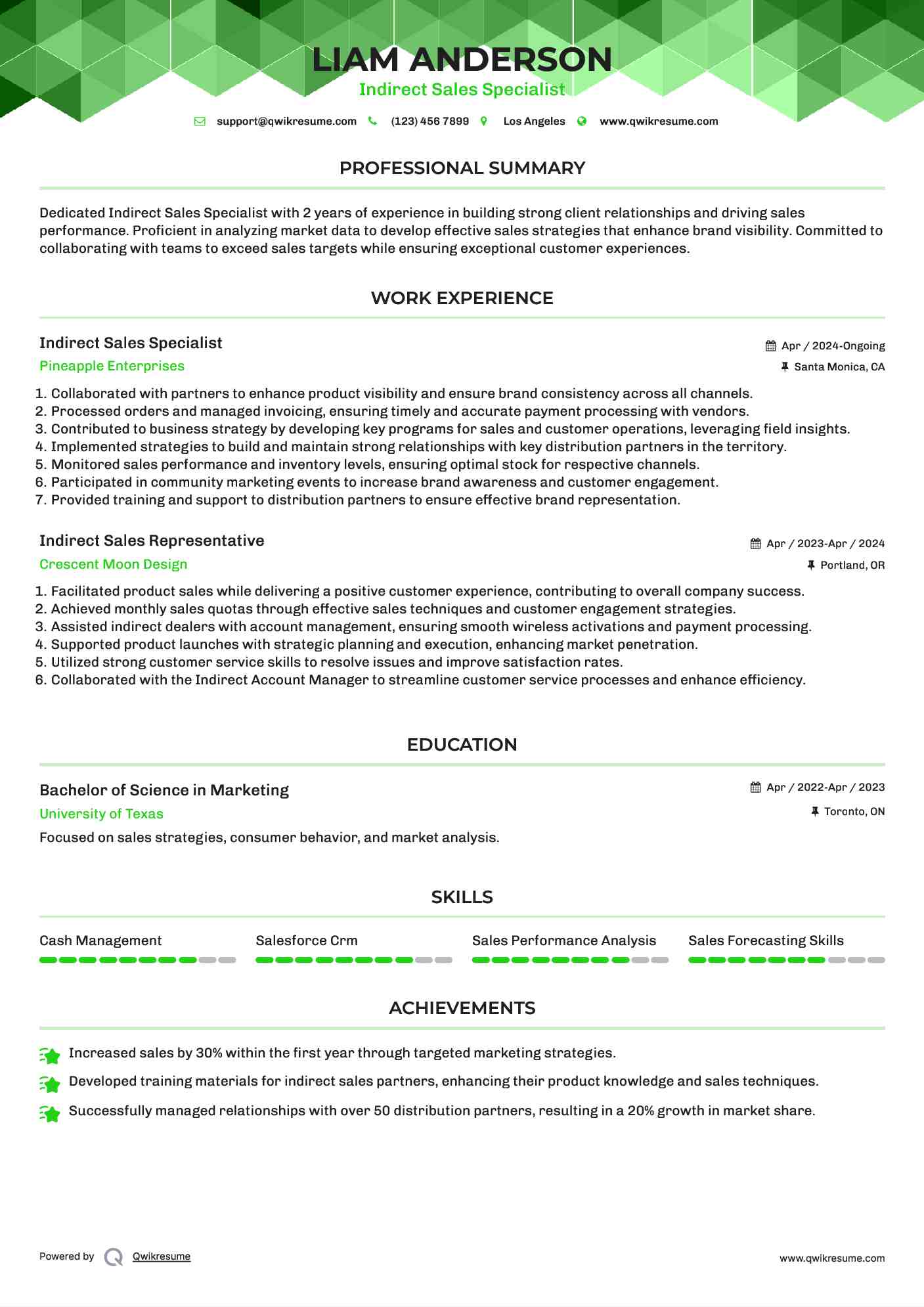 Indirect Sales Specialist Resume Example