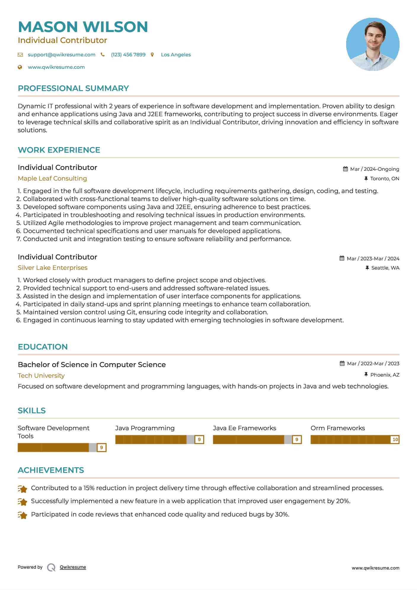 Individual Contributor Resume Sample