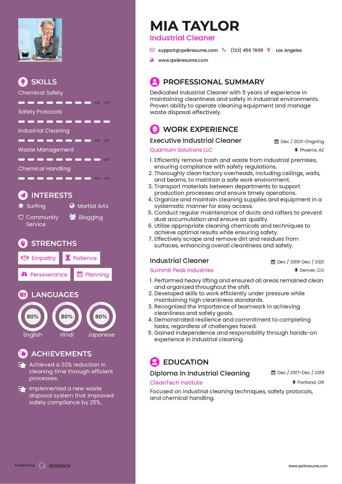 Executive Industrial Cleaner Resume Model