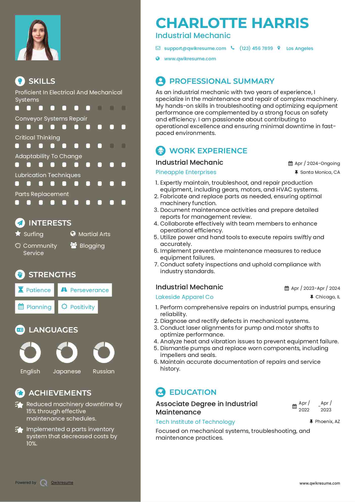 Industrial Mechanic Resume Sample