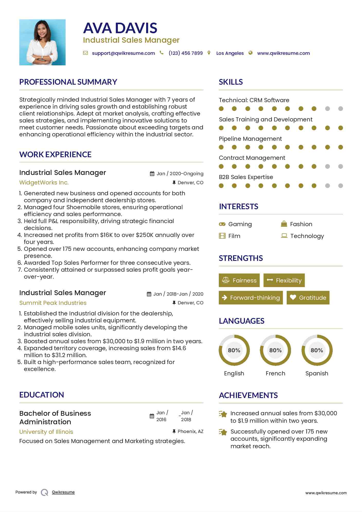 Industrial Sales Manager Resume Example